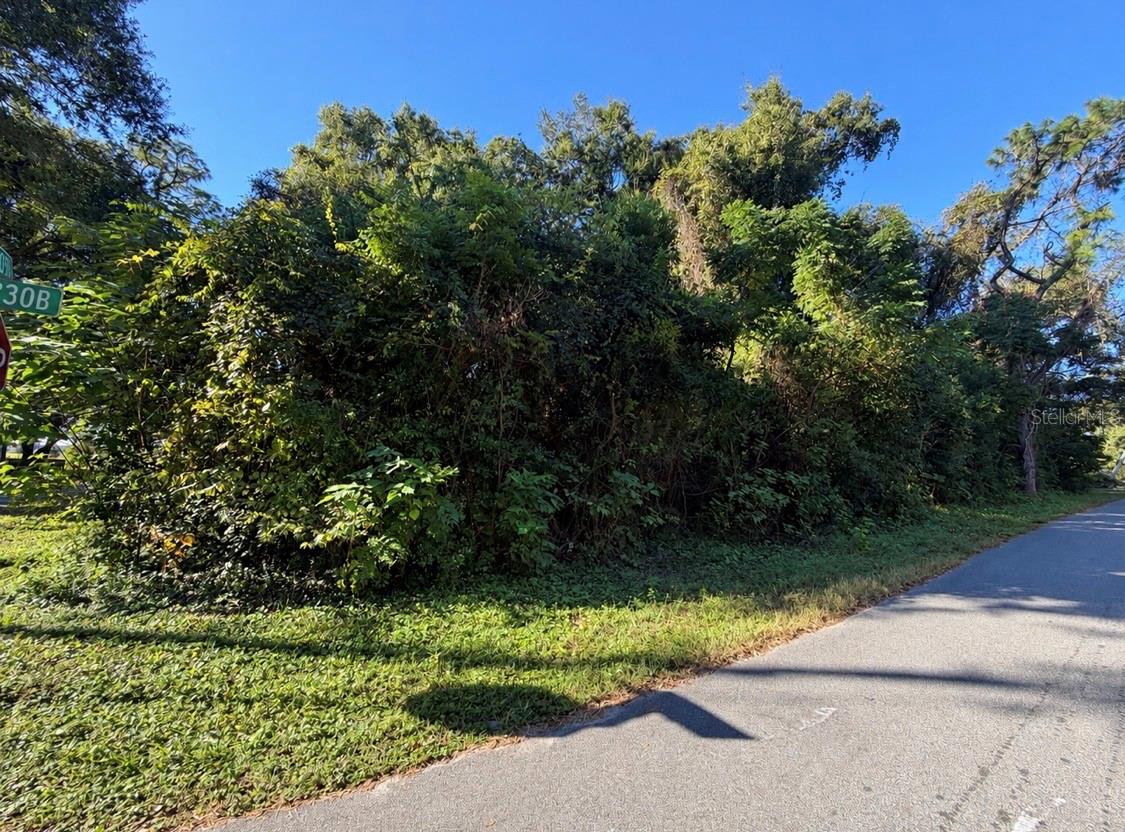 3711 CR 230B, Wildwood, FL 34785