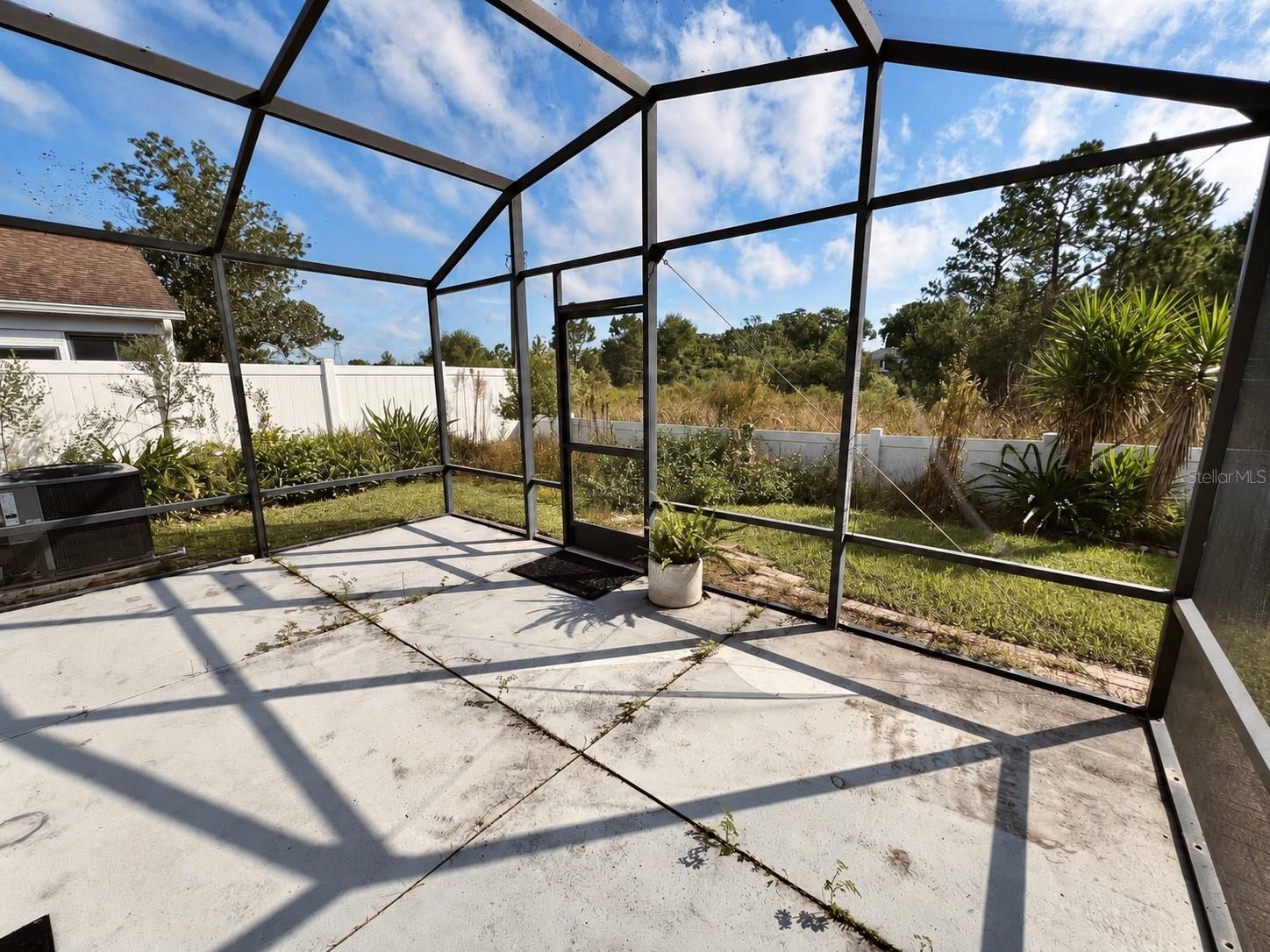 Bird Cage
