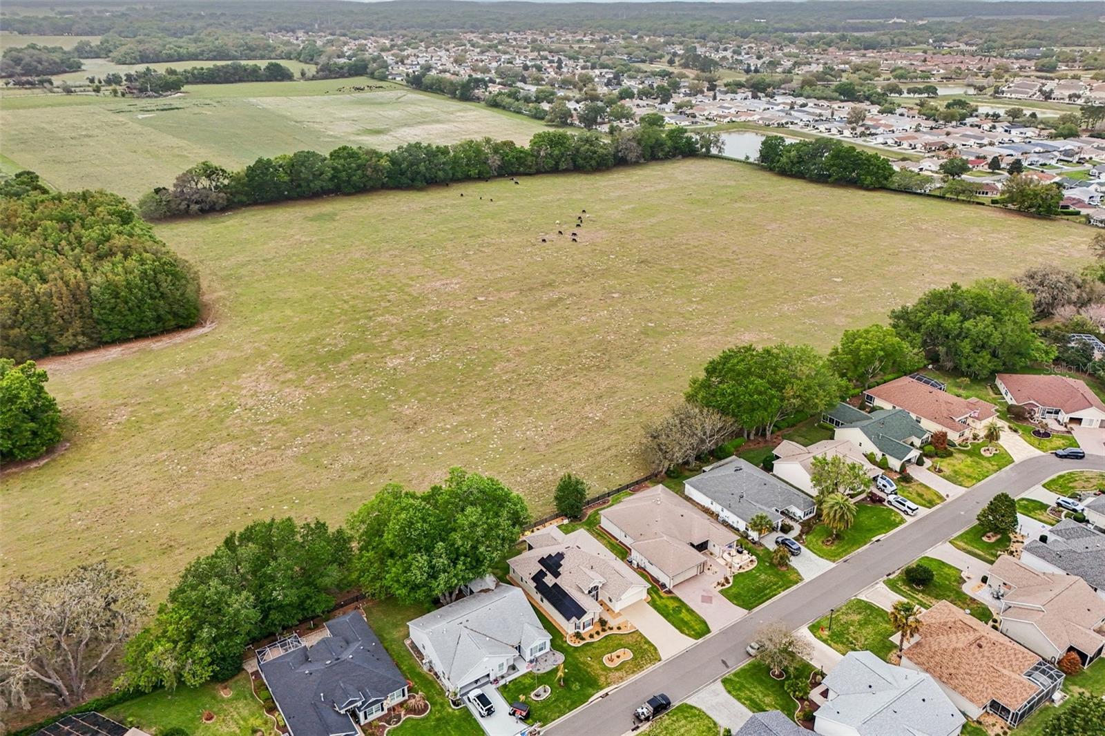 8146 SE 177TH WINTERTHUR LOOP, The Villages, FL 32162