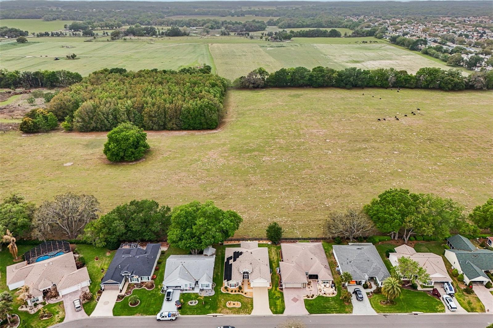 8146 SE 177TH WINTERTHUR LOOP, The Villages, FL 32162