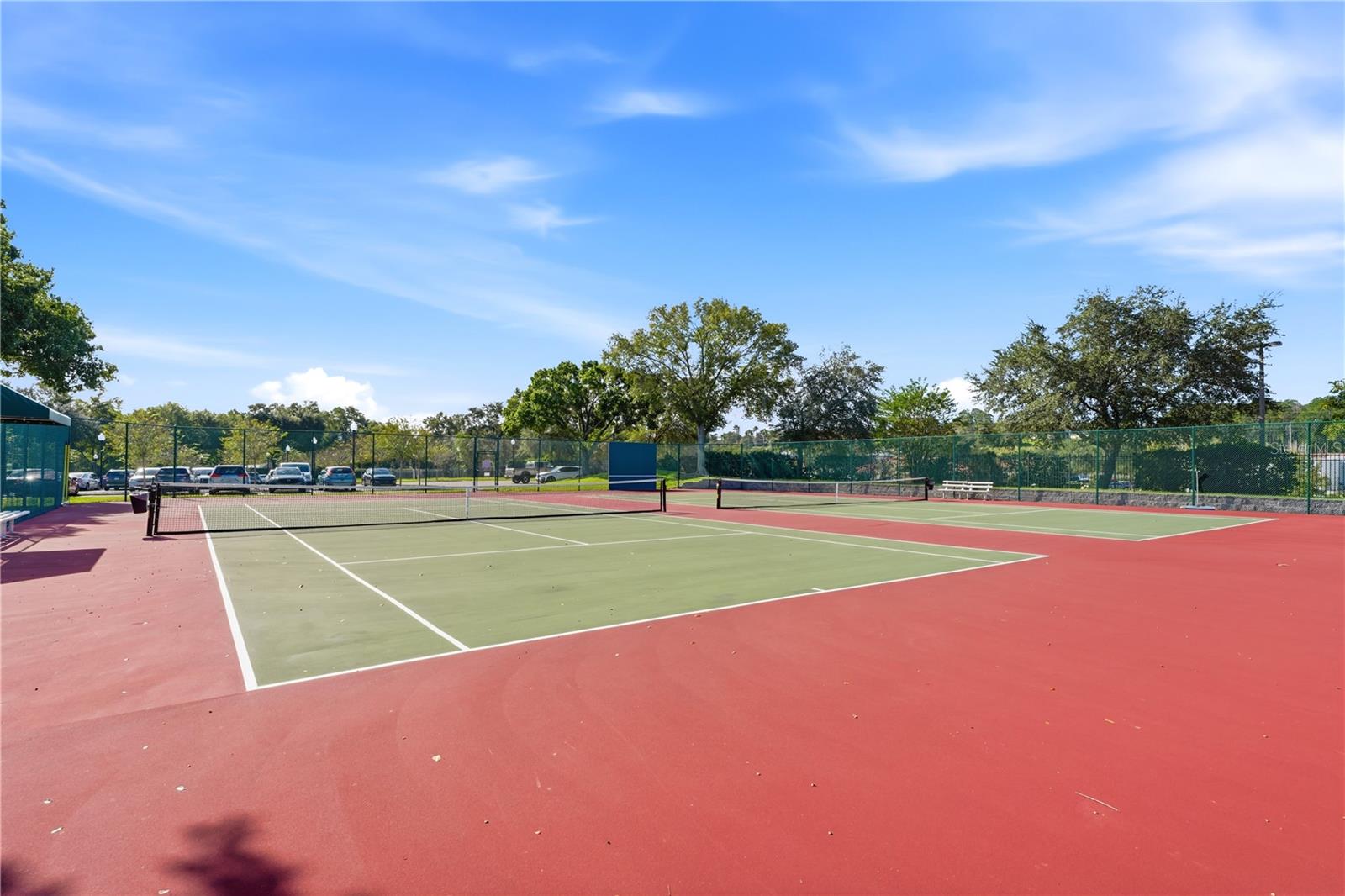3675 EVERSHOLT STREET, Clermont, FL 34711