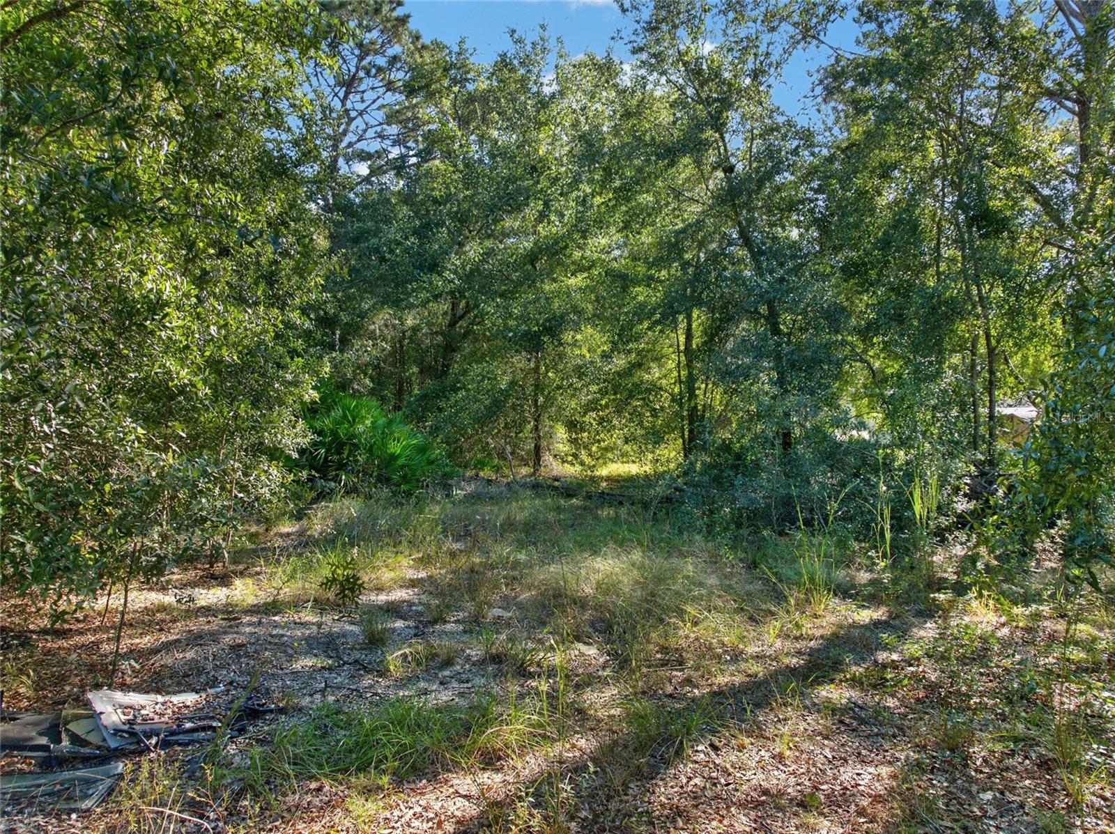 SE 41ST TERRACE, Summerfield, FL 34491