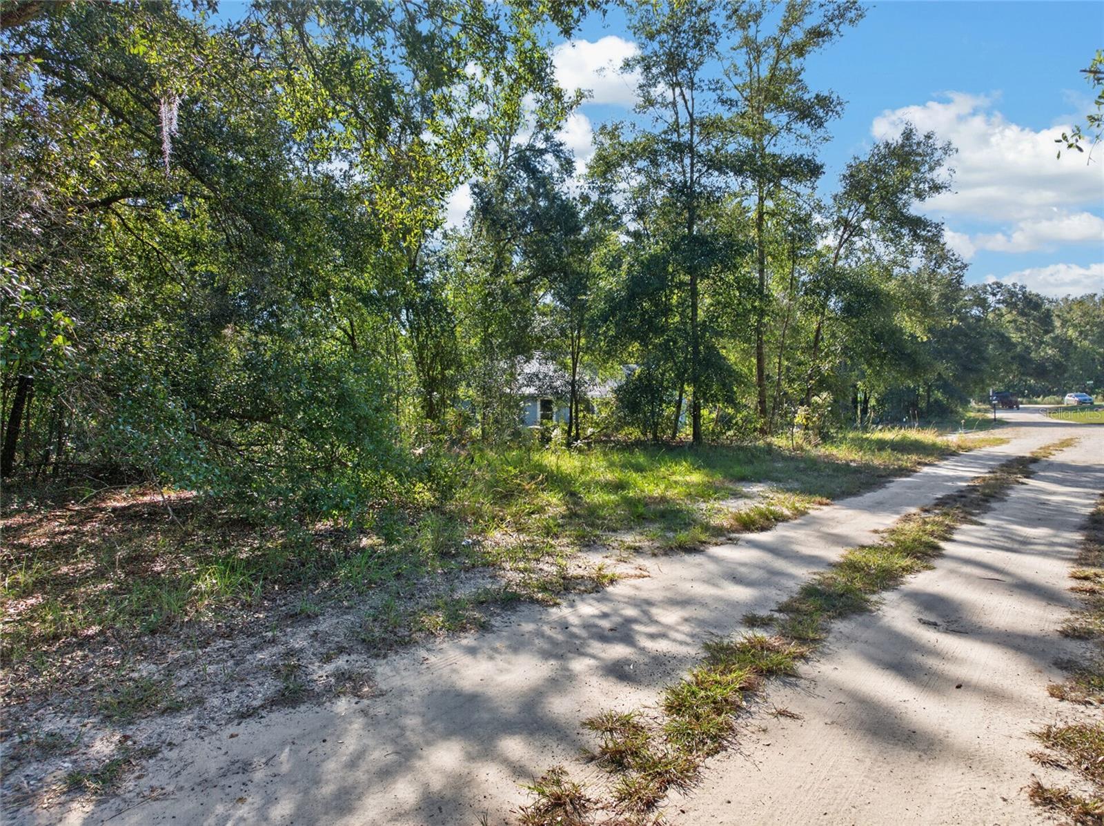 SE 41ST TERRACE, Summerfield, FL 34491