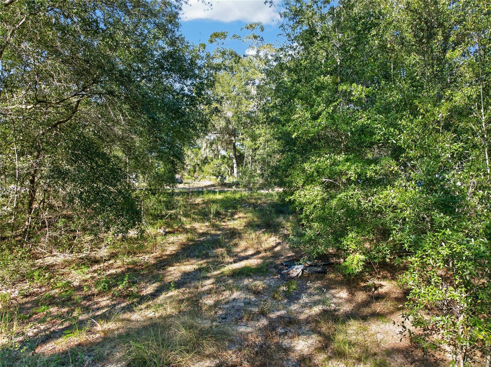 SE 41ST TERRACE, Summerfield, FL 34491