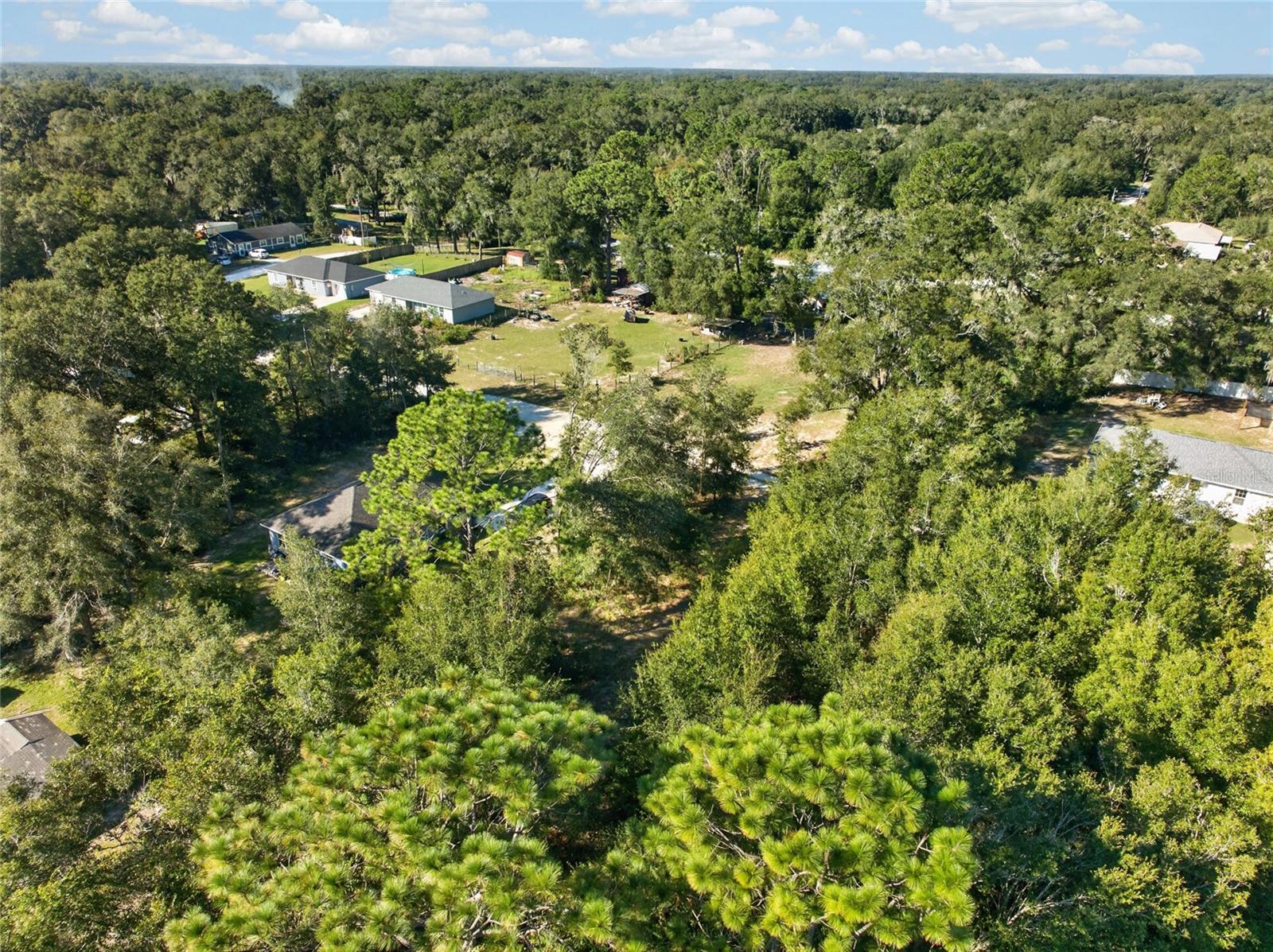 SE 41ST TERRACE, Summerfield, FL 34491
