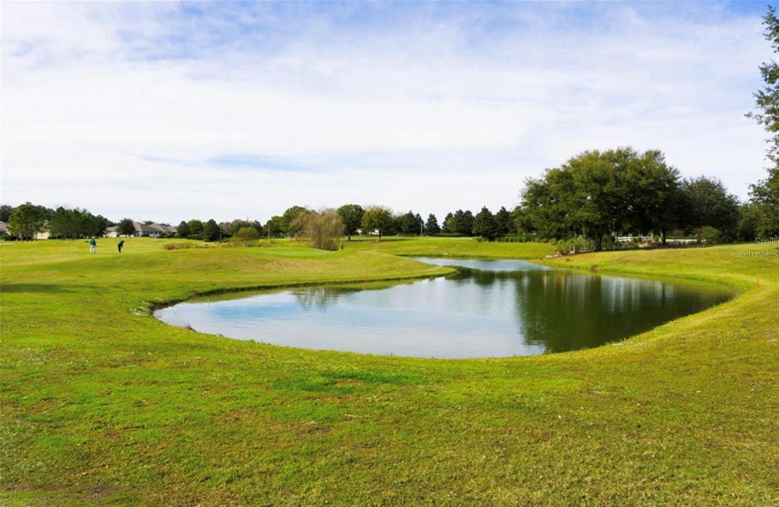 3749 ARLINGTON RIDGE BOULEVARD, Leesburg, FL 34748