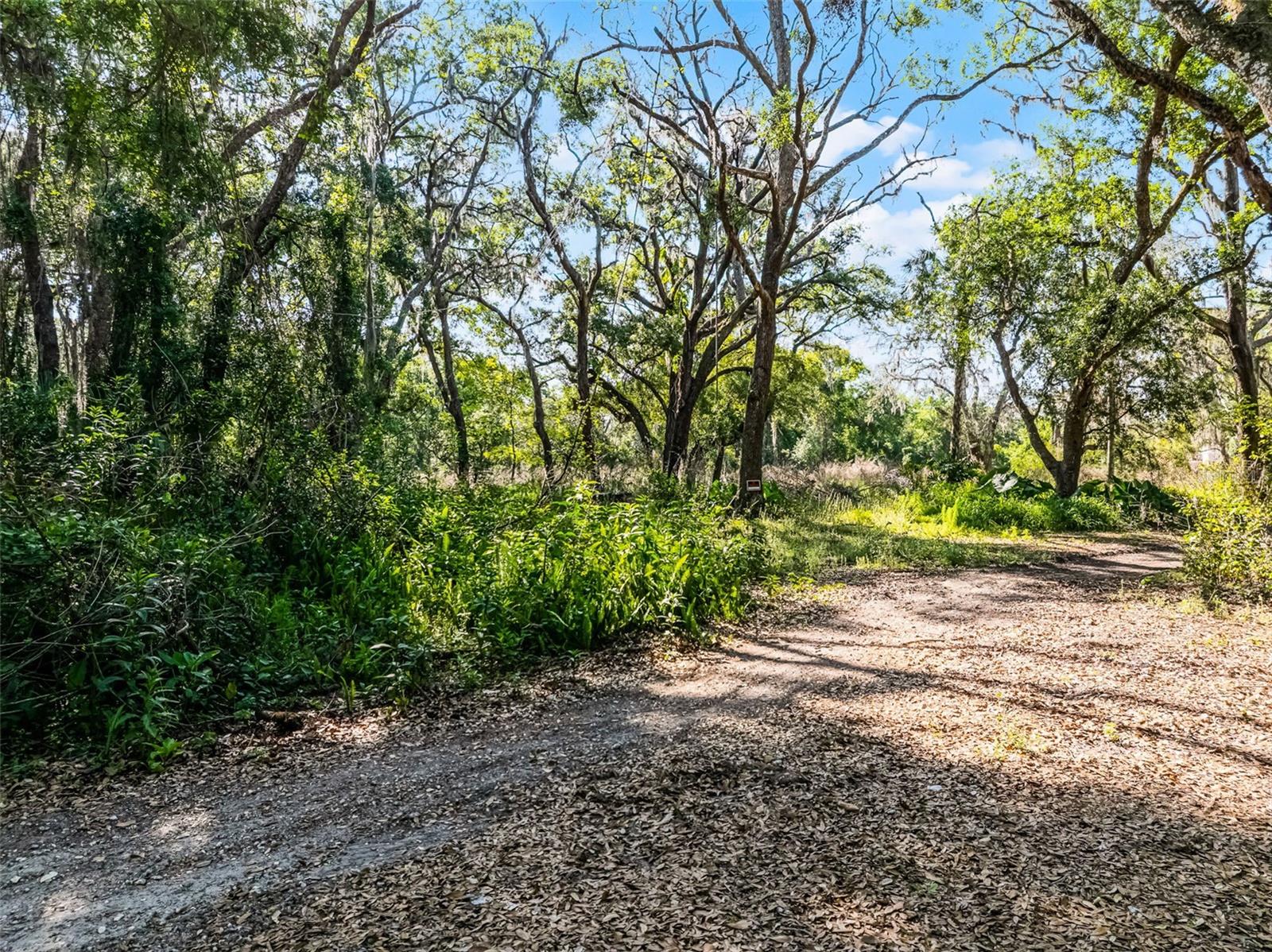 3633 PANTHER PATH ROAD, Lutz, FL 33559