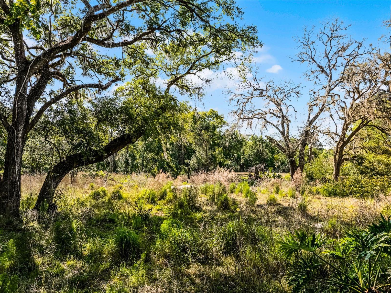 3633 PANTHER PATH ROAD, Lutz, FL 33559