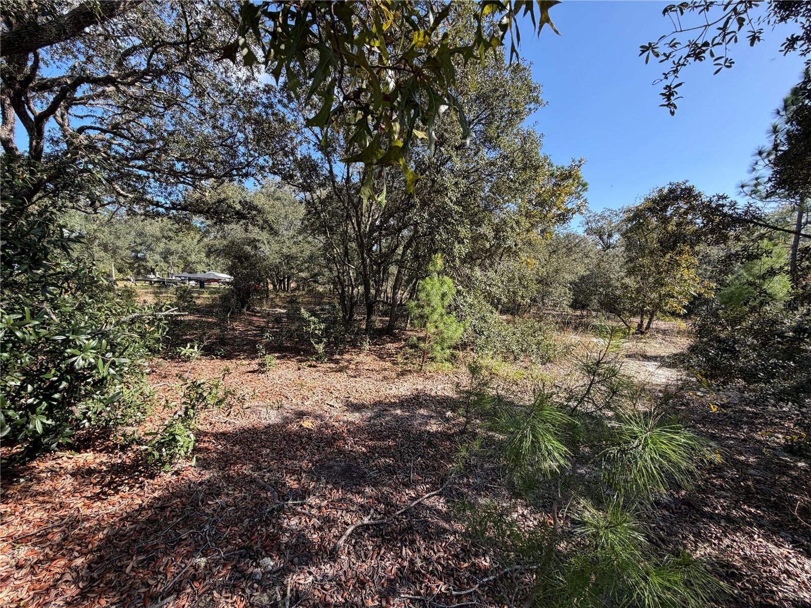 SW GARDENIA COURT, Dunnellon, FL 34431 SW GARDENIA COURT, Dunnellon, FL 34431