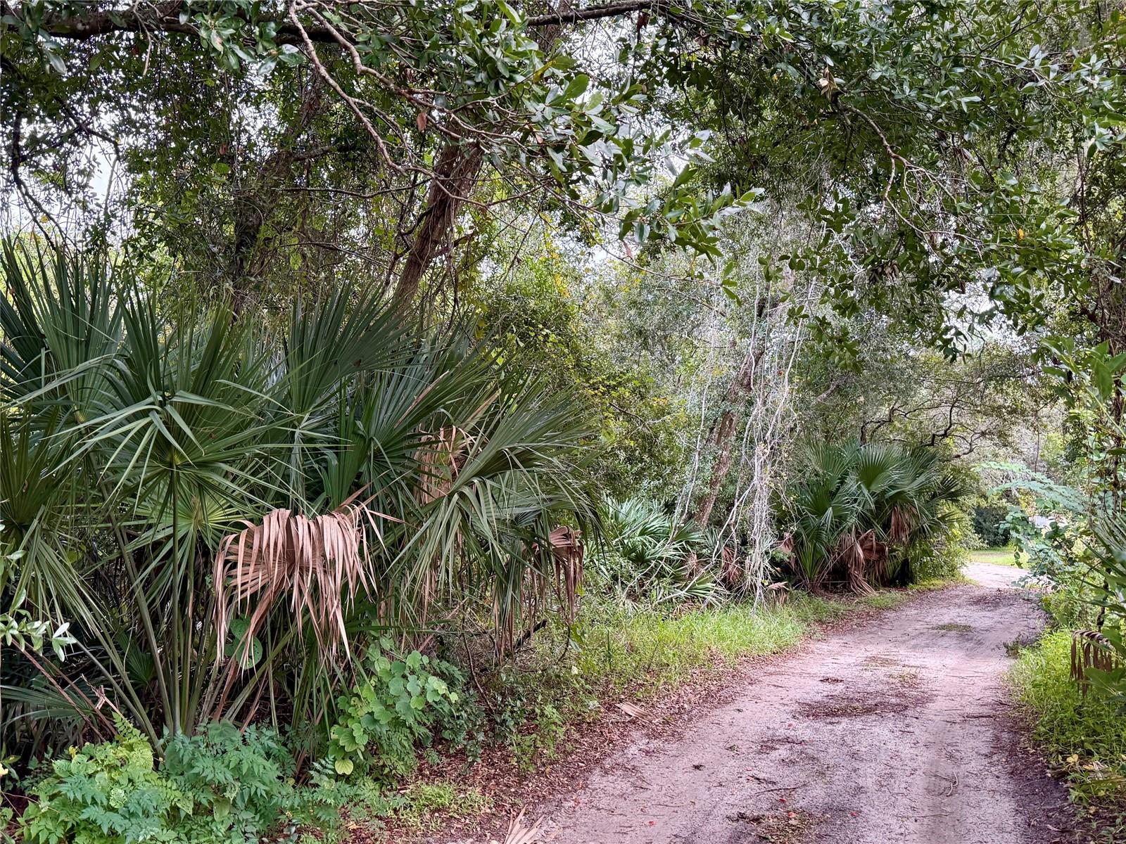 CYPRESS DRIVE, Leesburg, FL 34788