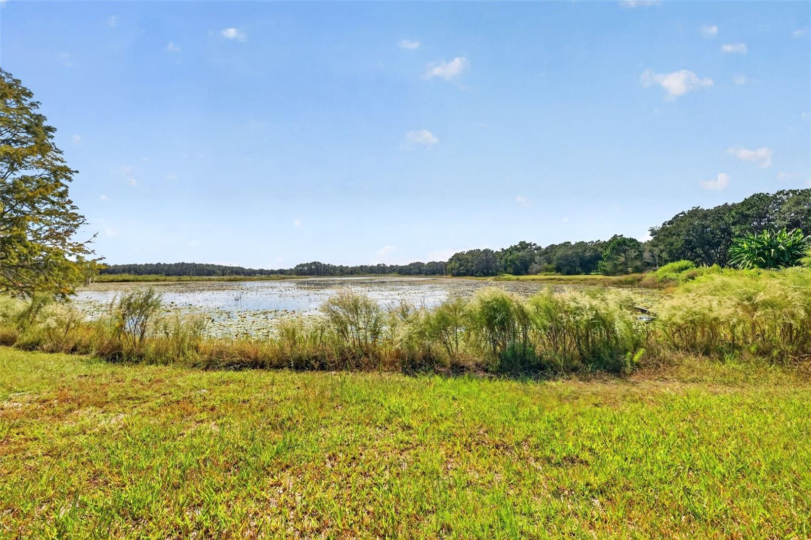 1440 SELMAN ROAD, Leesburg, FL 34748