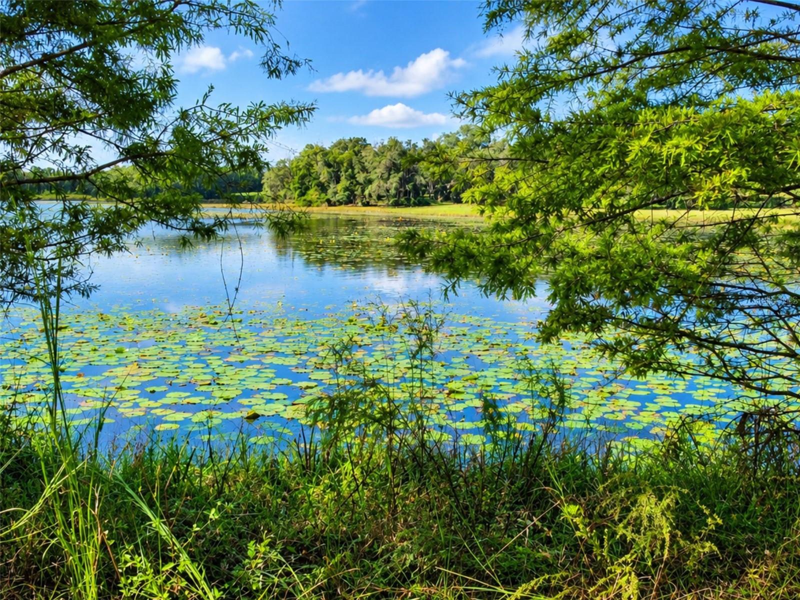 1440 SELMAN ROAD, Leesburg, FL 34748