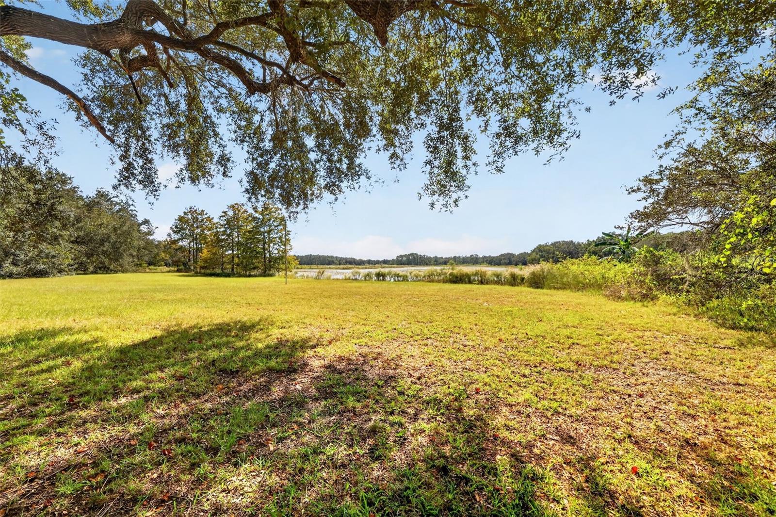 1440 SELMAN ROAD, Leesburg, FL 34748