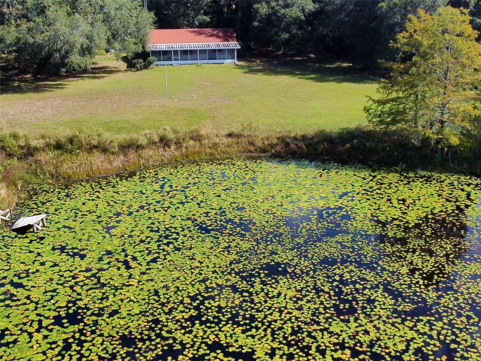 1440 SELMAN ROAD, Leesburg, FL 34748