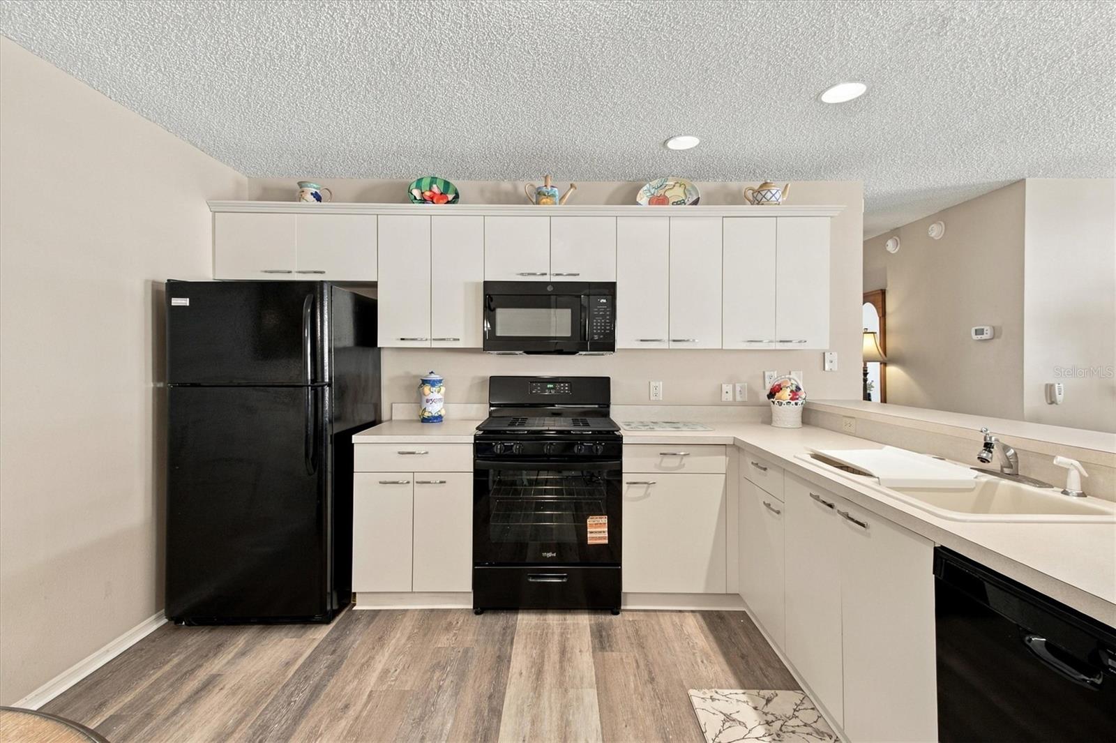 16940 SE 81ST ELLERSLIE COURT, The Villages, FL 32162