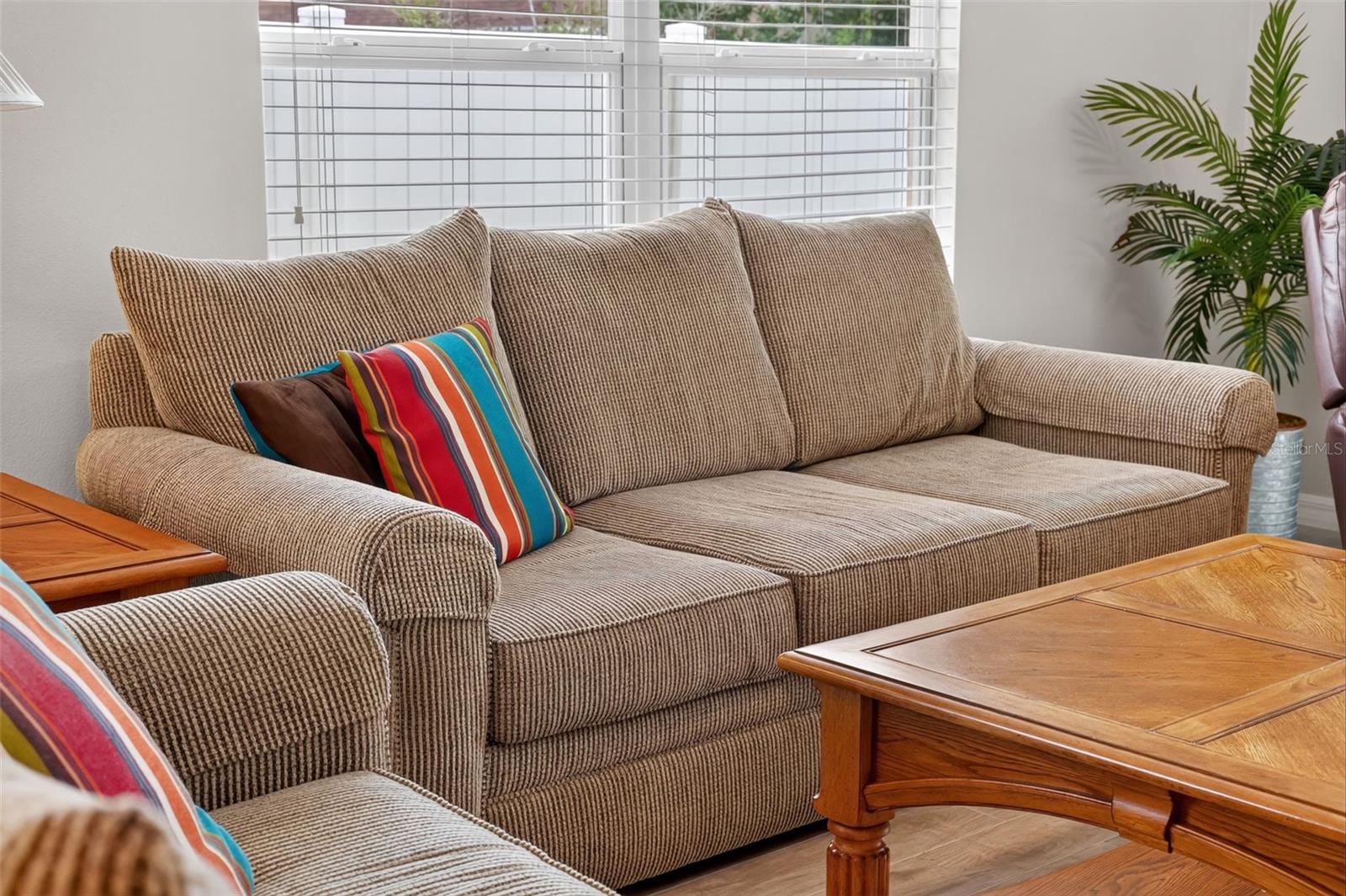 Sleeper Sofa in the Living Room