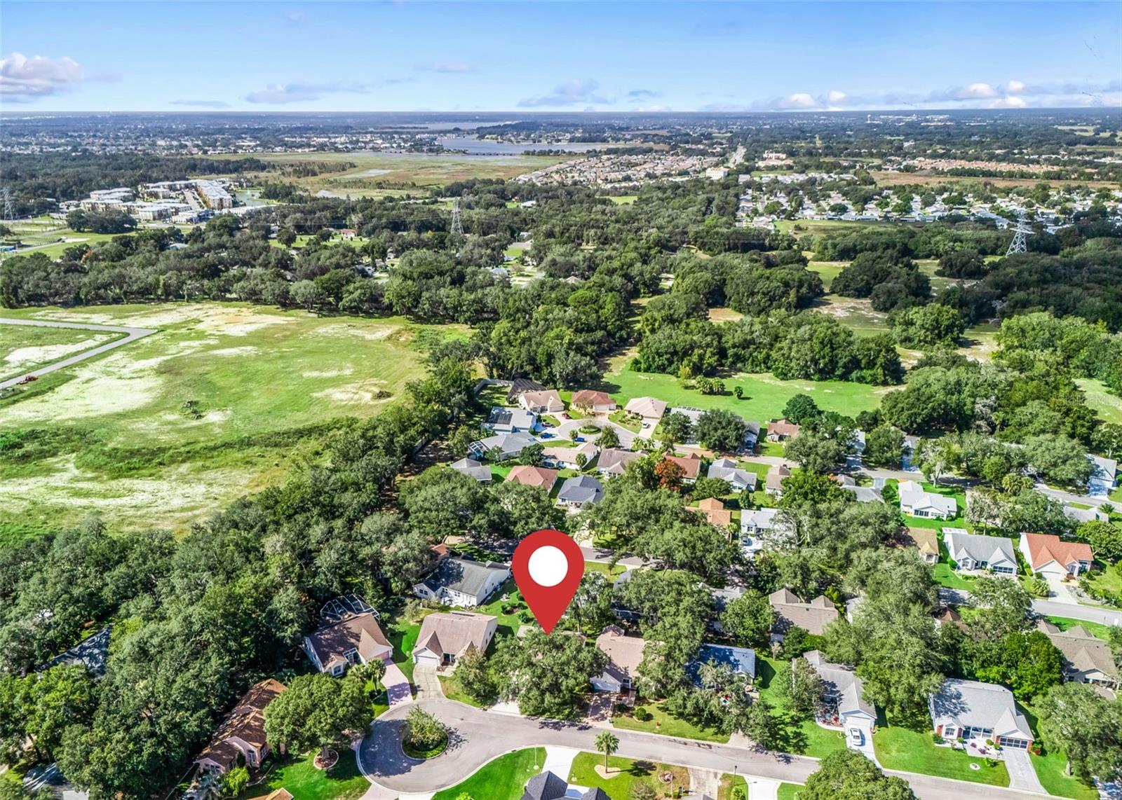 206 DESOTA COURT, The Villages, FL 32159