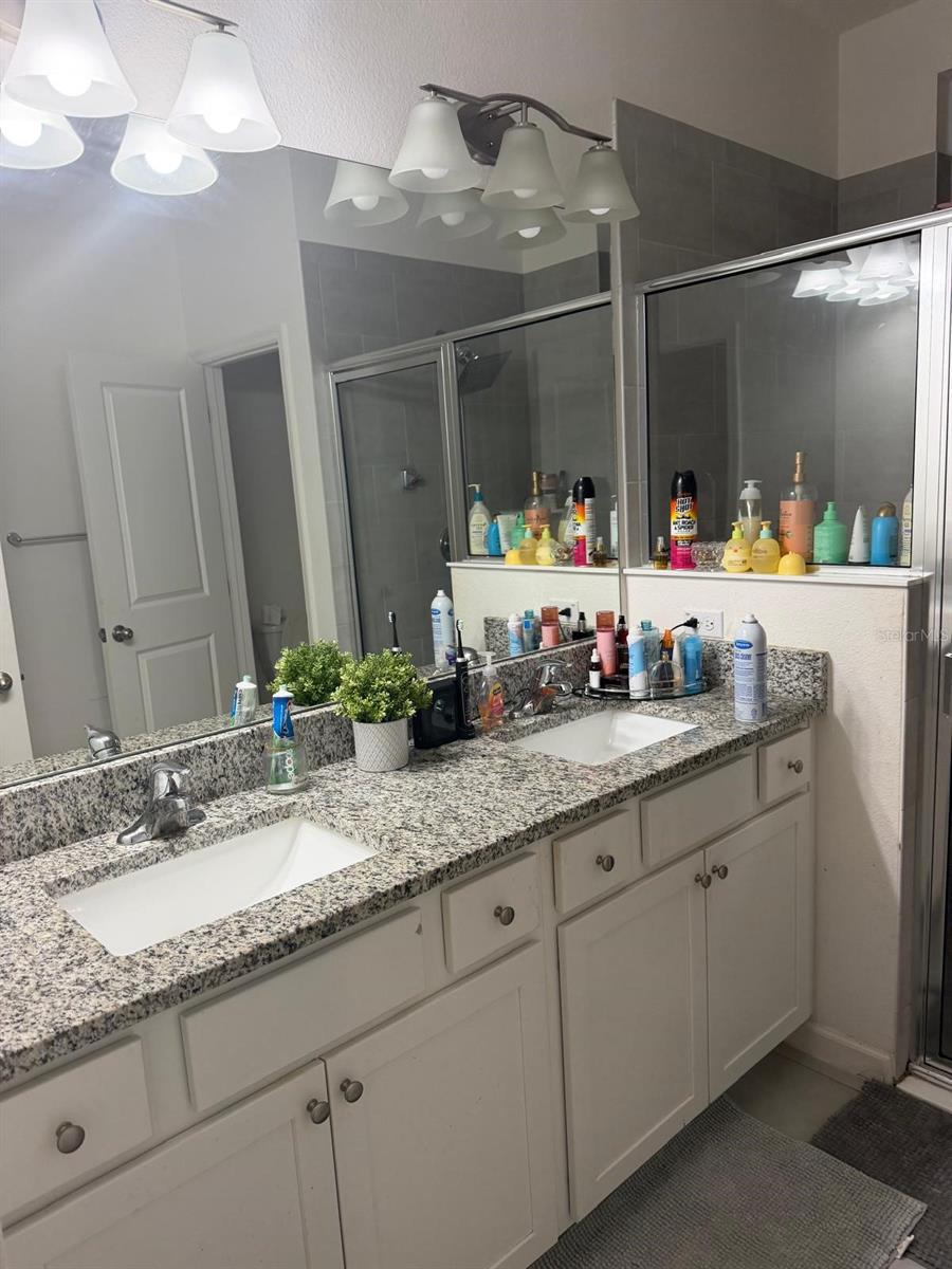 731 BIRCH HOLLOW DRIVE, Apopka, FL 32703