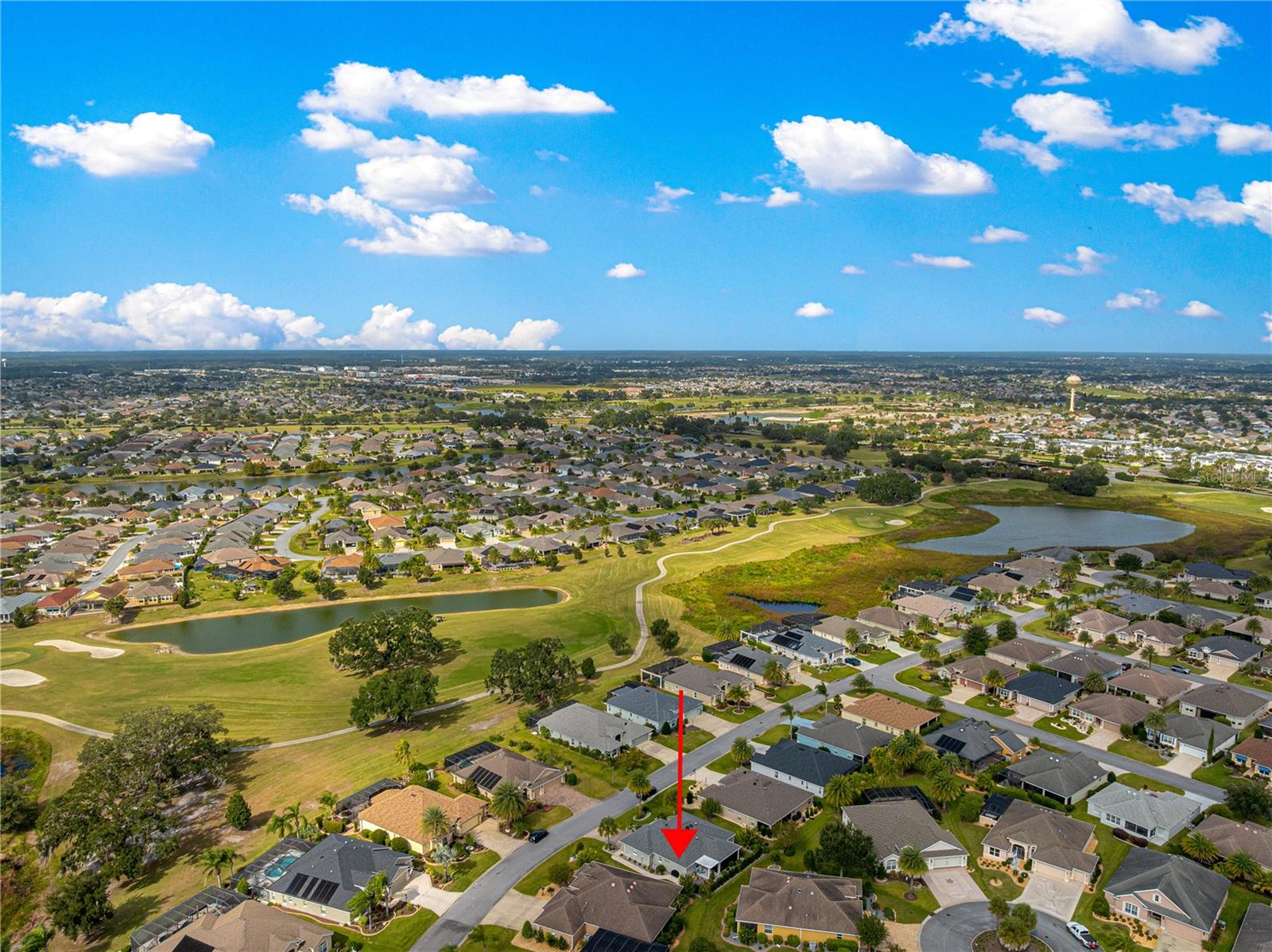 3015 DAFOE TERRACE, The Villages, FL 32163