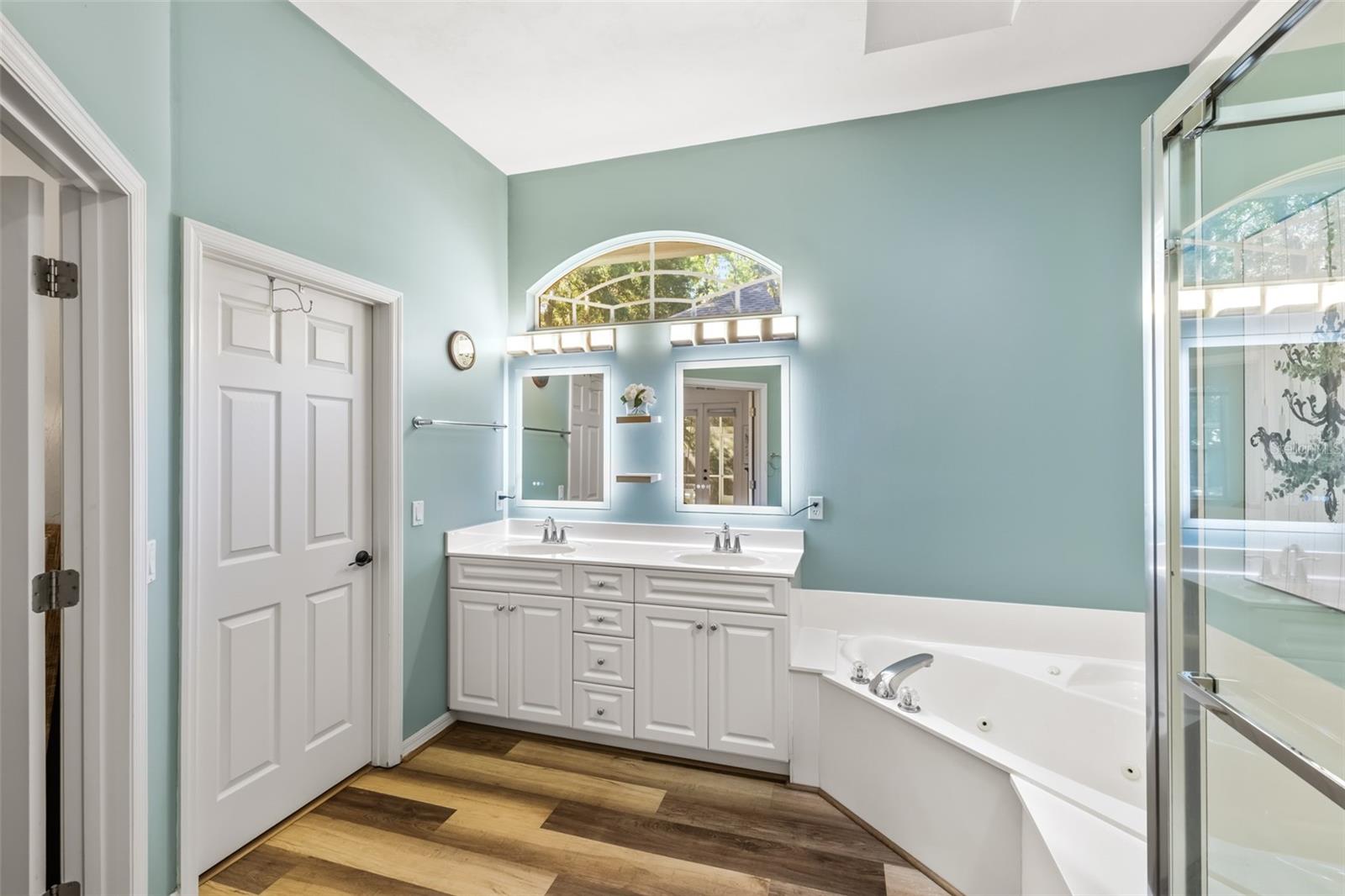 Lighted mirrors and skylight and walk in closet
