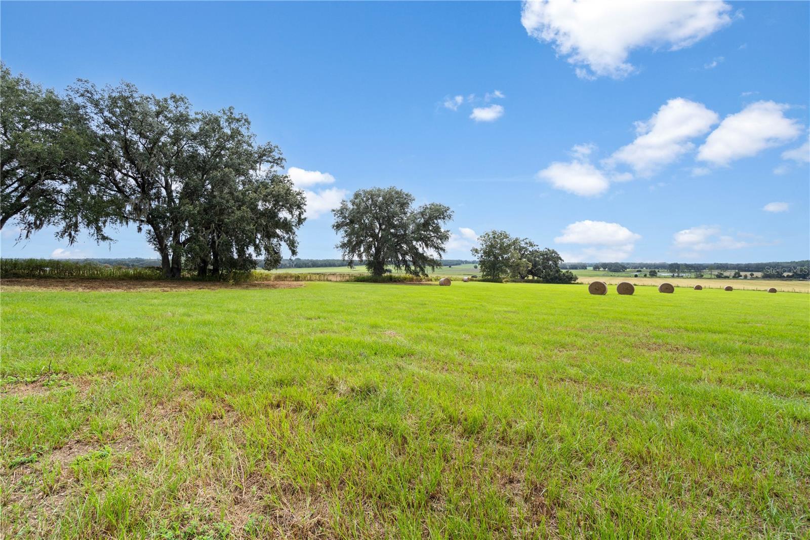 0000 SW TUSTENUGGEE AVENUE, Lake City, FL 32024 0000 SW TUSTENUGGEE AVENUE, Lake City, FL 32024