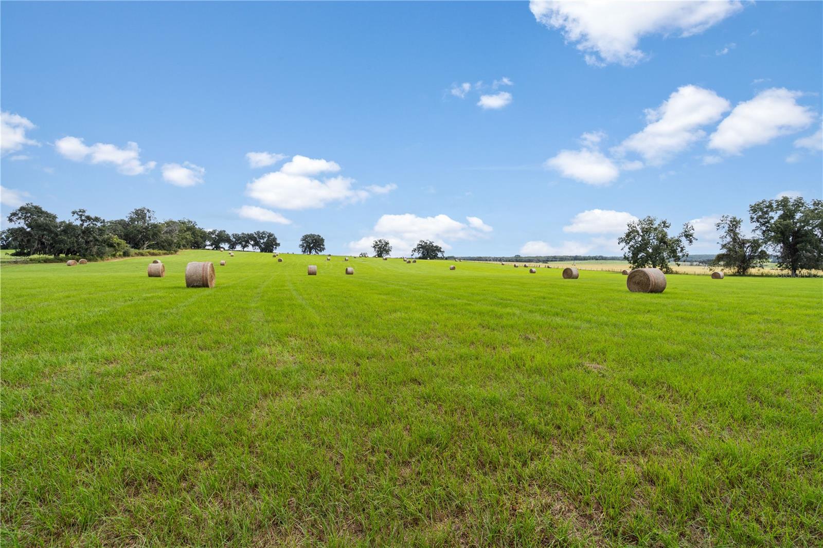 0000 SW TUSTENUGGEE AVENUE, Lake City, FL 32024 0000 SW TUSTENUGGEE AVENUE, Lake City, FL 32024