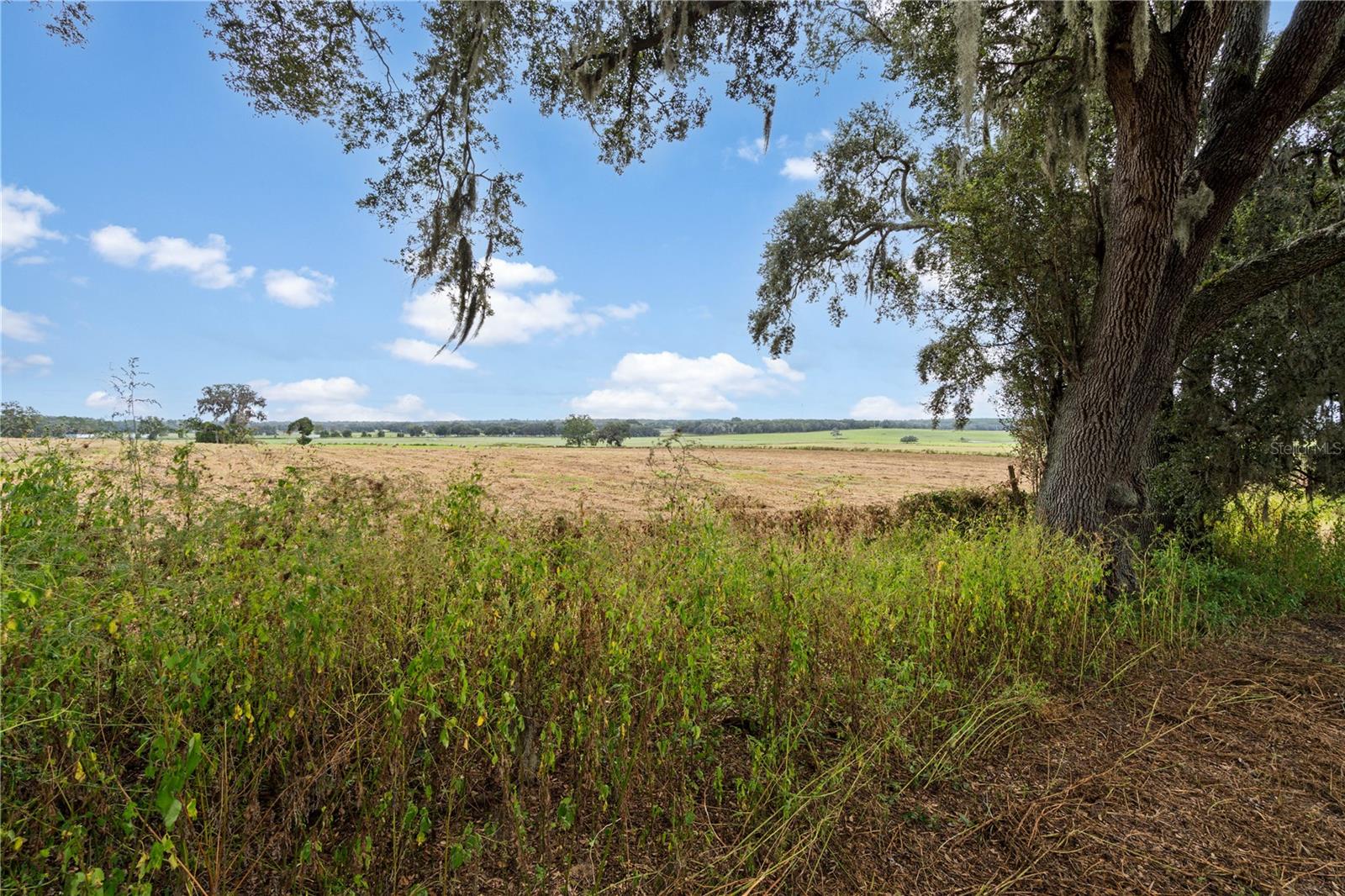 0000 SW TUSTENUGGEE AVENUE, Lake City, FL 32024 0000 SW TUSTENUGGEE AVENUE, Lake City, FL 32024