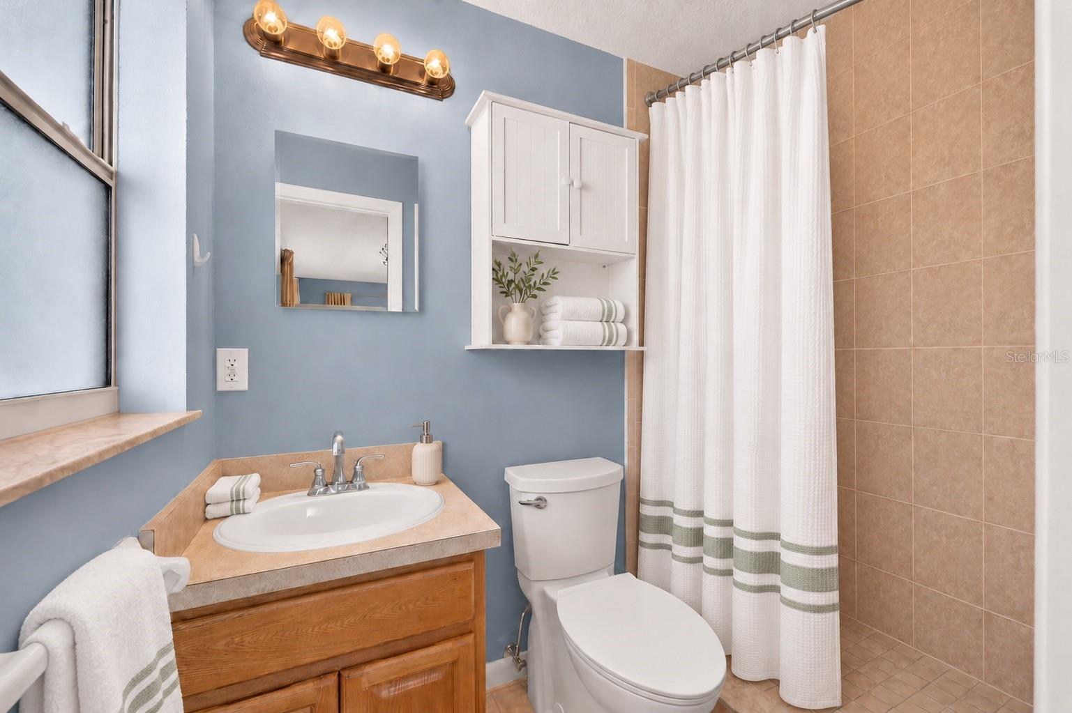 Owner's Bath