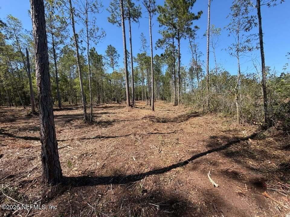 0 SE 125TH STREET, Starke, FL 32091