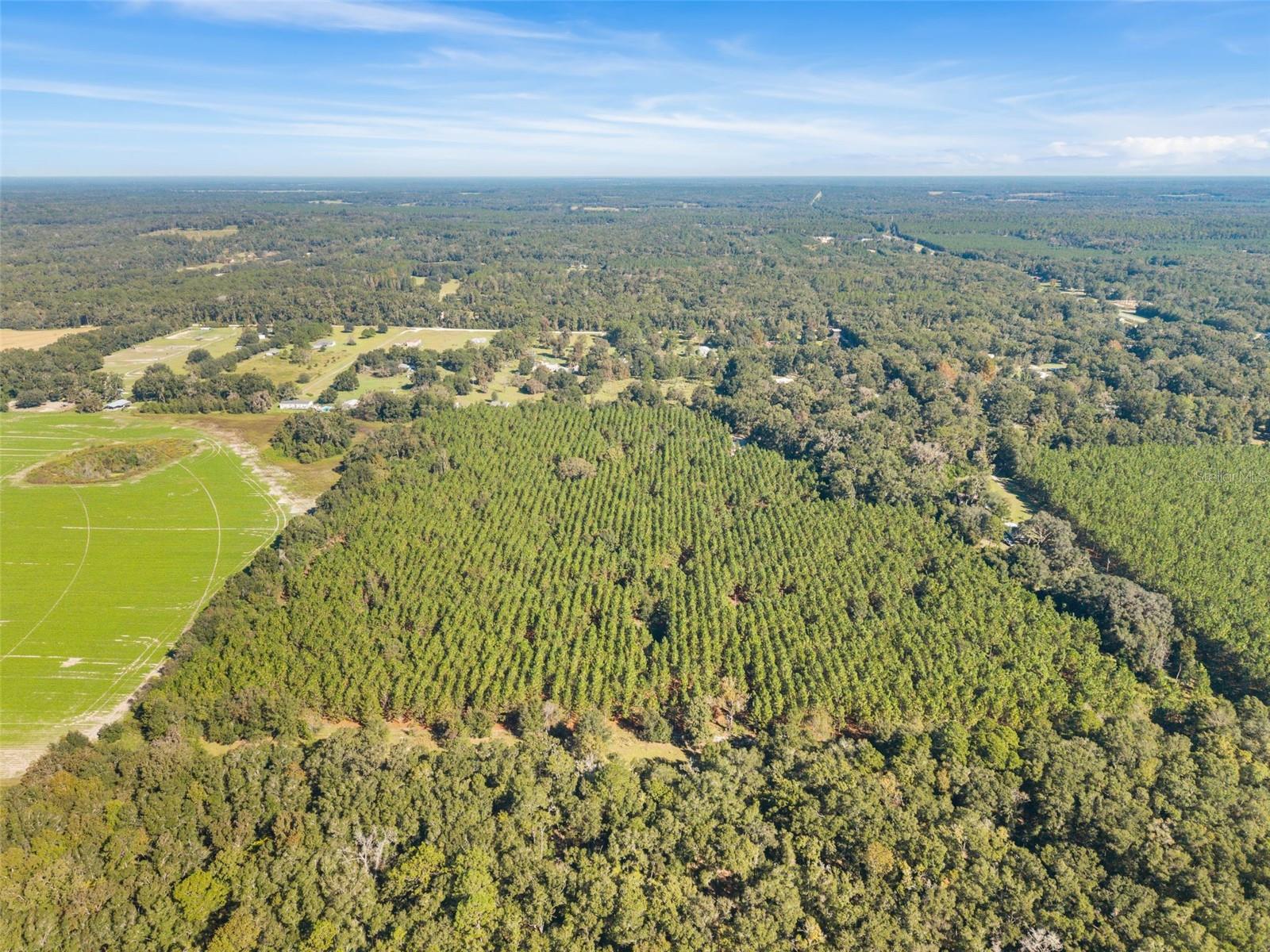 High Springs, FL 32643