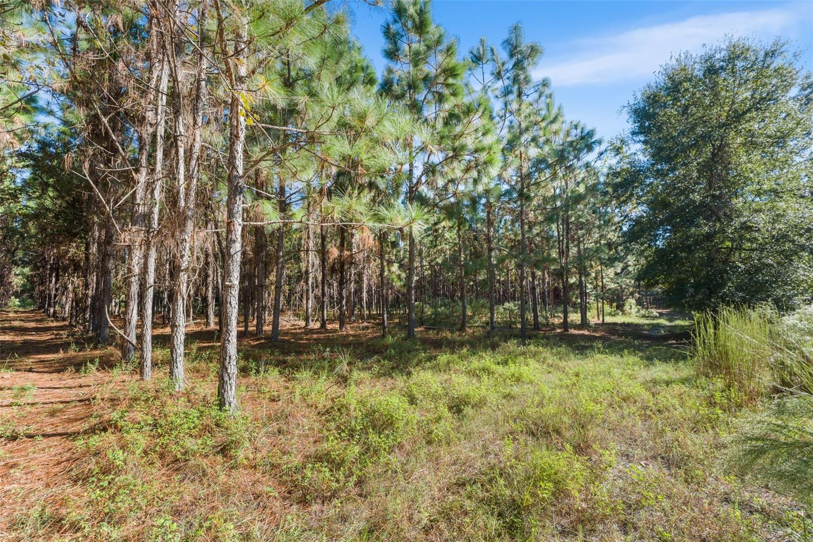 High Springs, FL 32643