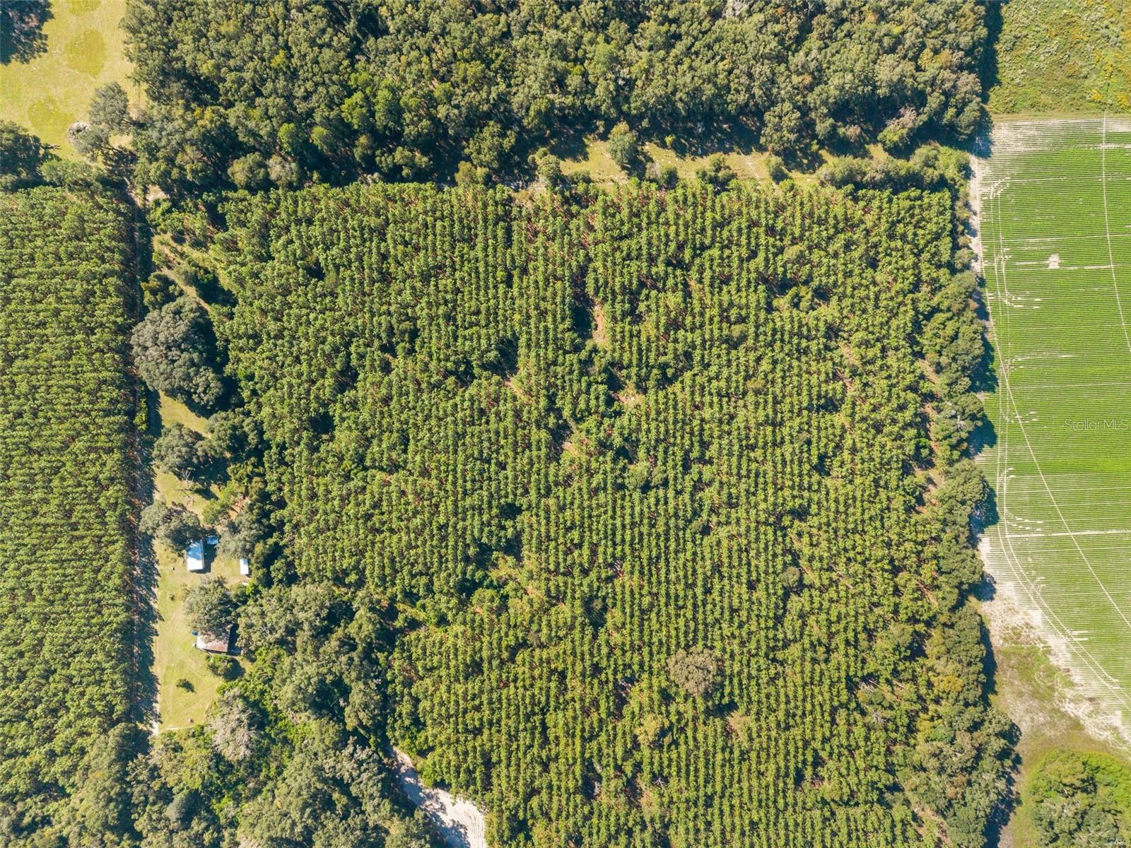 High Springs, FL 32643