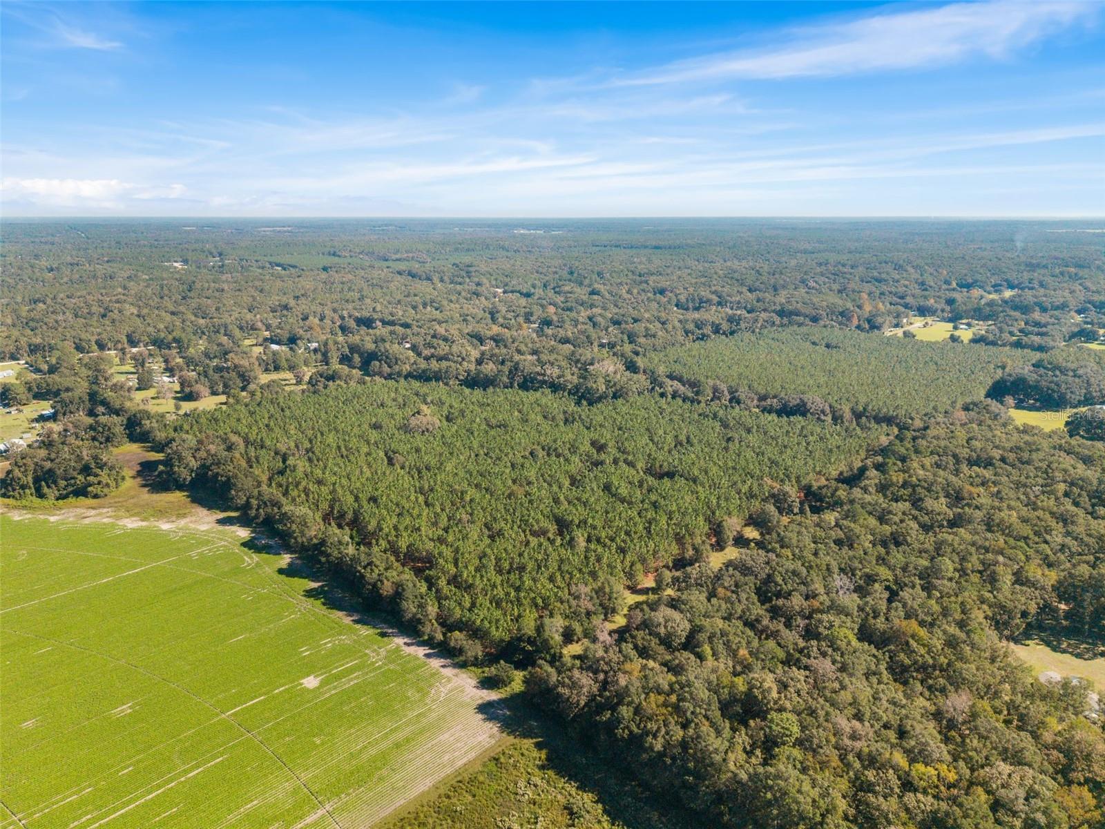 High Springs, FL 32643