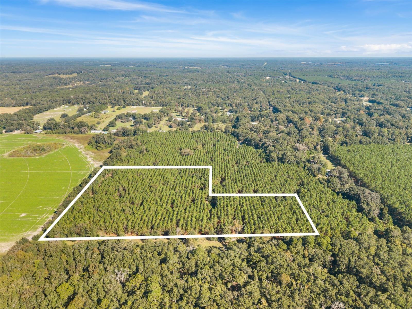 High Springs, FL 32643