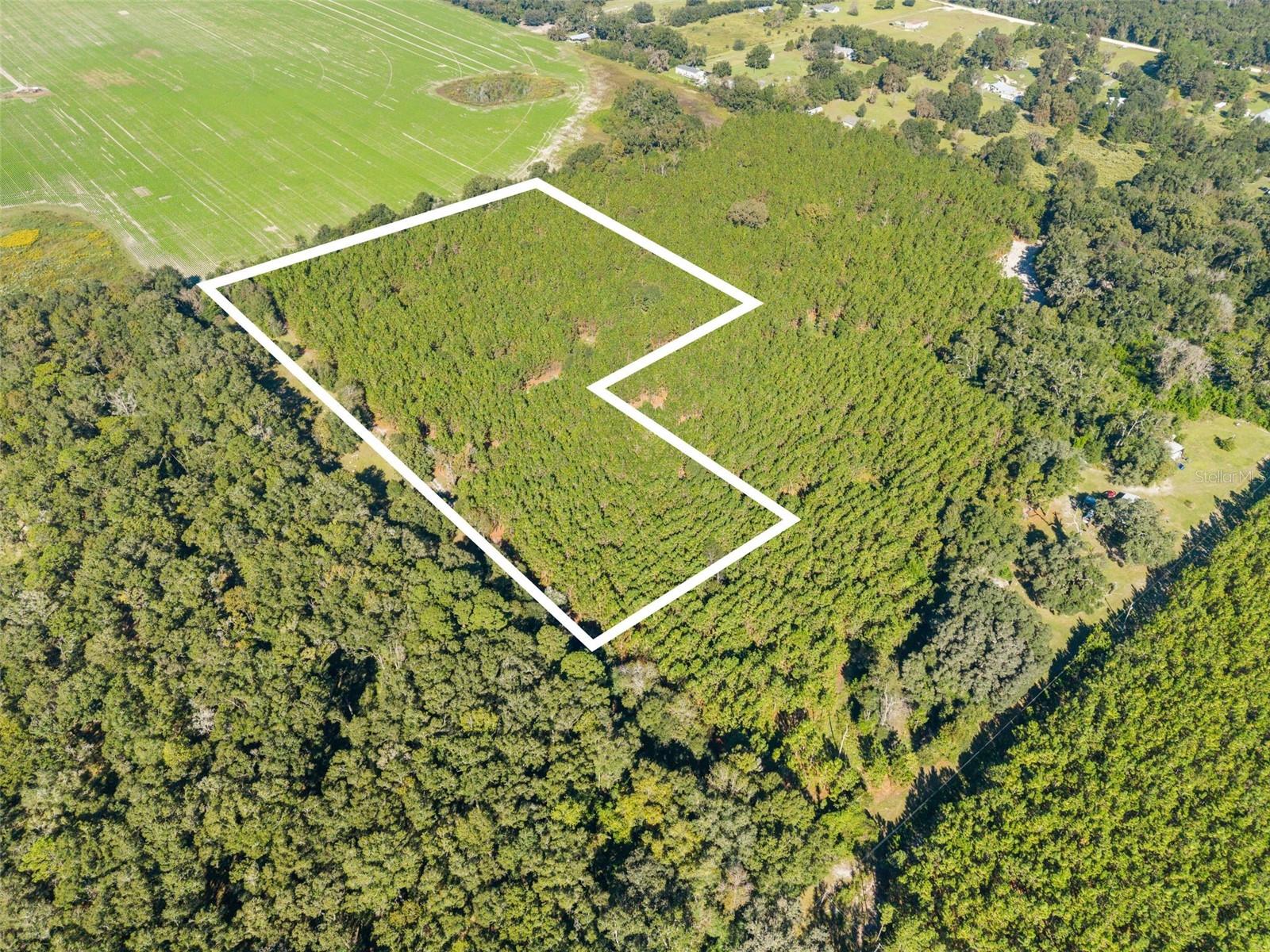 High Springs, FL 32643