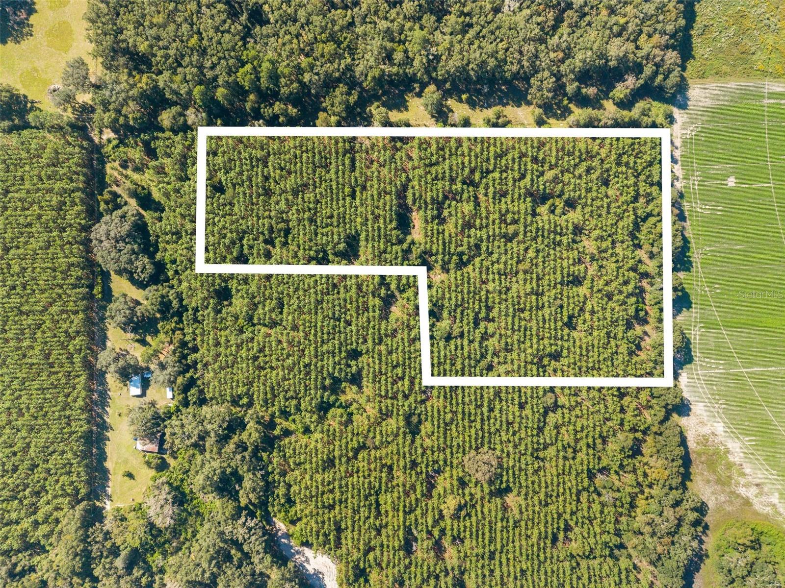 High Springs, FL 32643