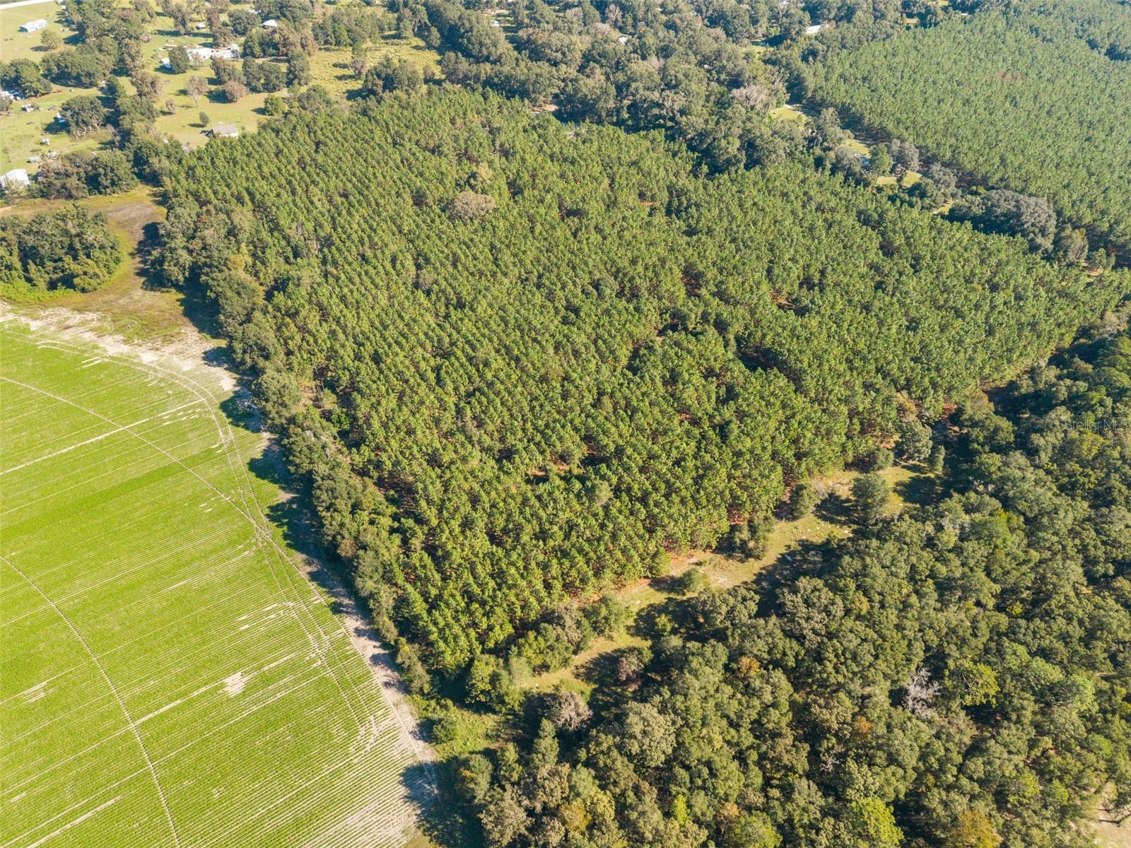 High Springs, FL 32643
