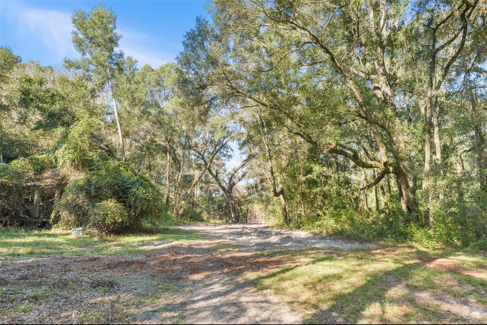 High Springs, FL 32643