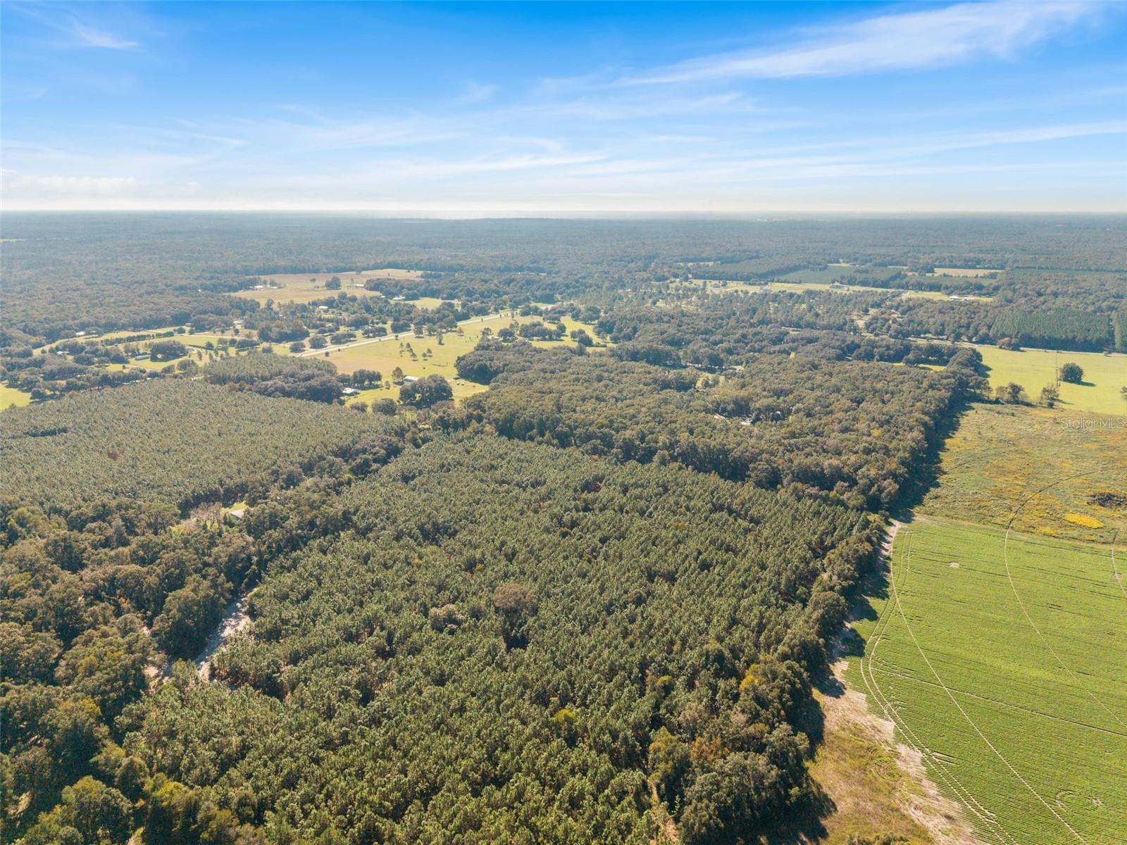 High Springs, FL 32643