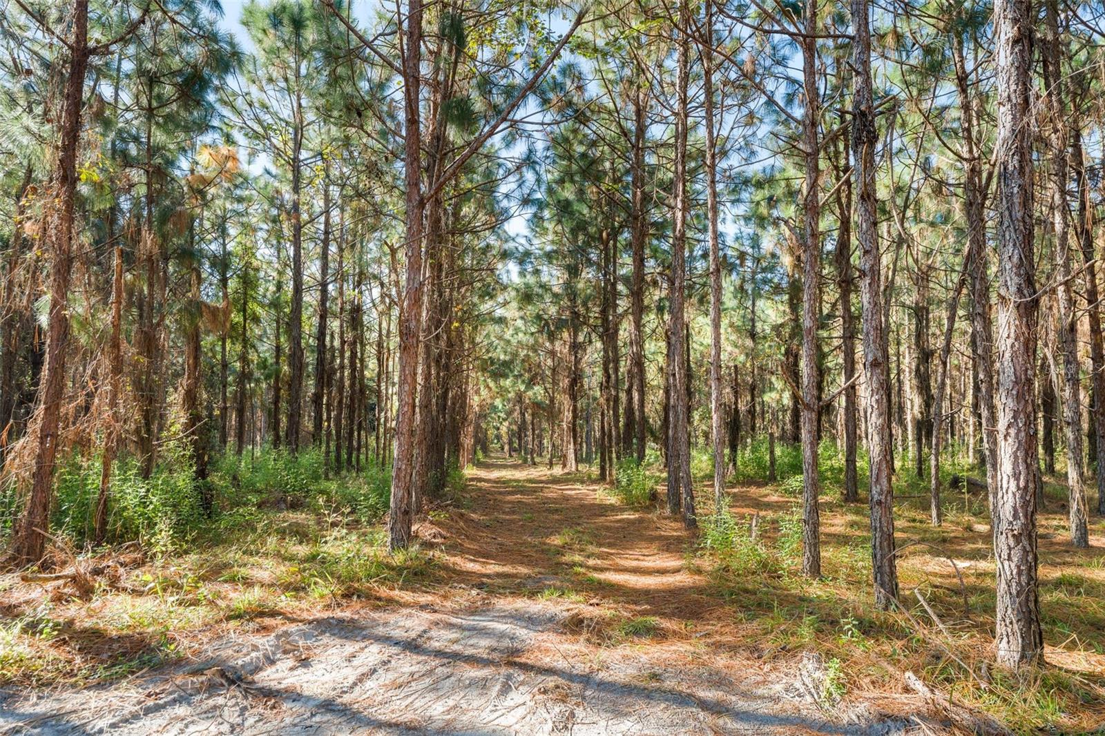High Springs, FL 32643