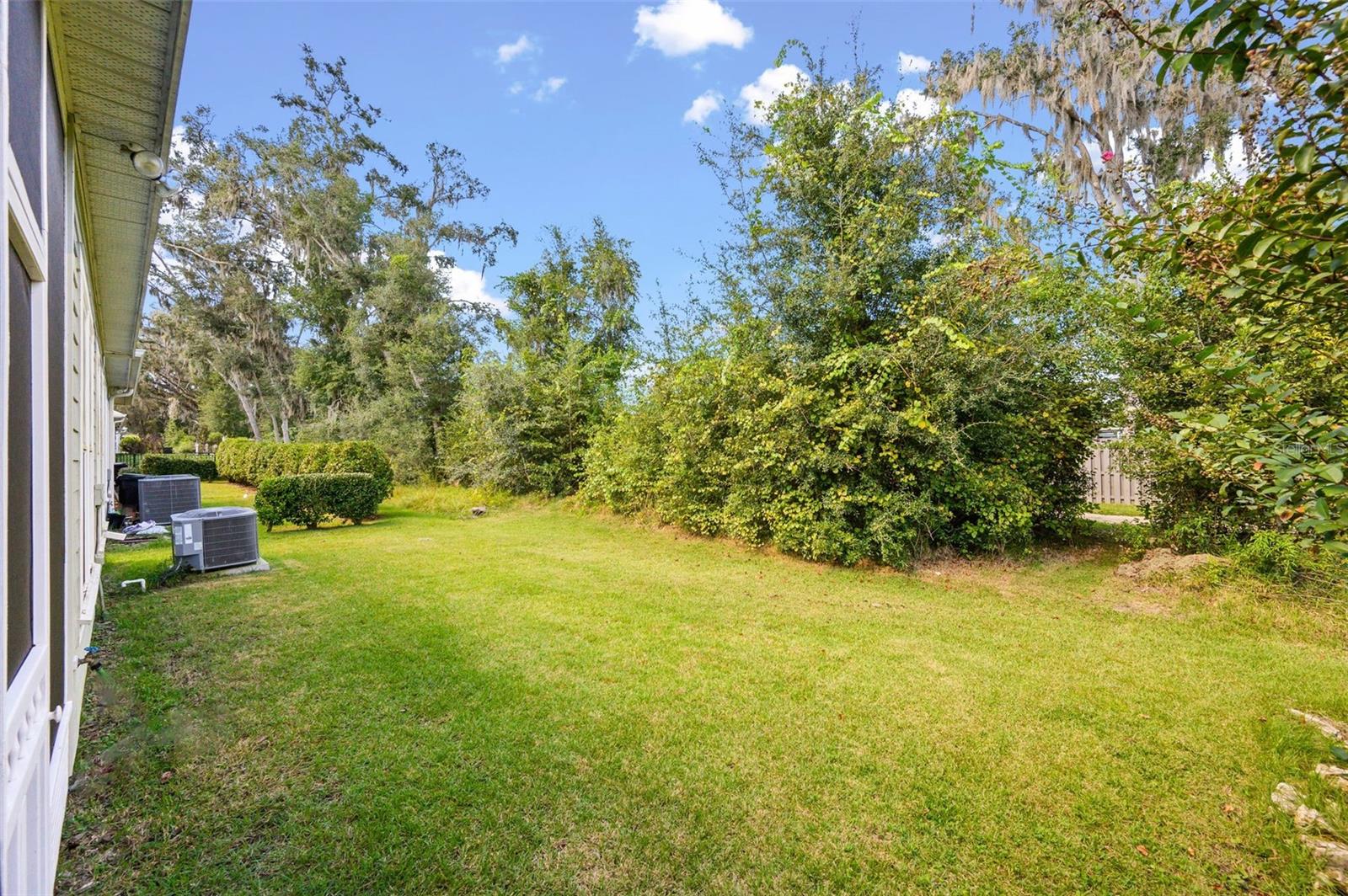 Backyard