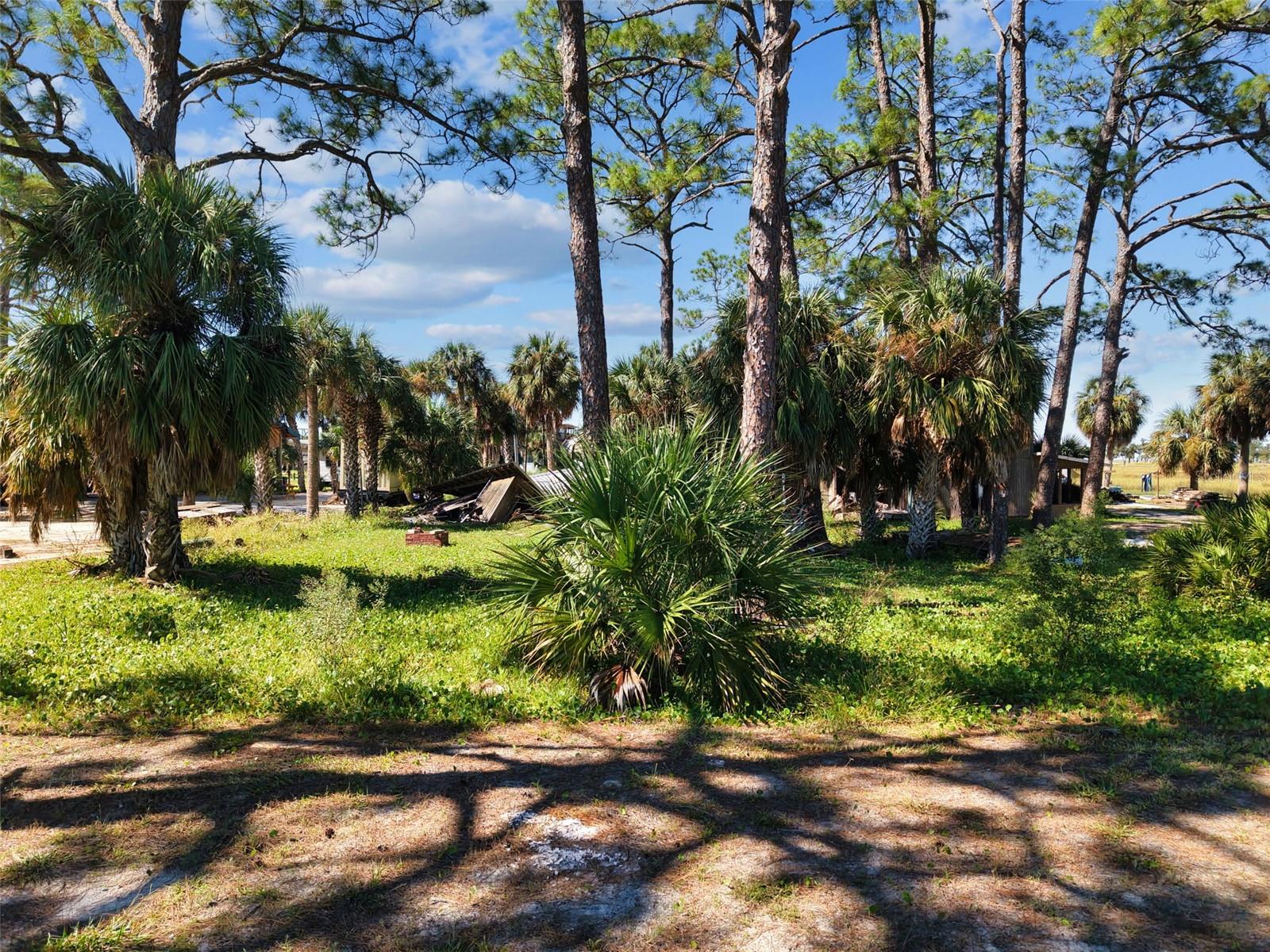 4 MAIN STREET, Horseshoe Beach, FL 32648