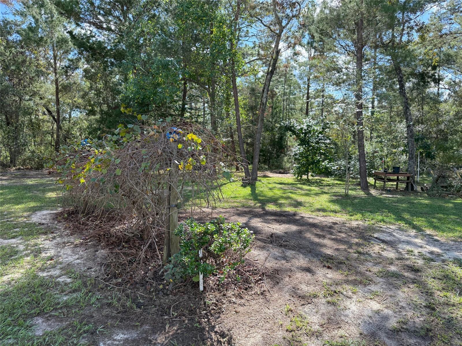6035 OAK LEAF ROAD, Keystone Heights, FL 32656