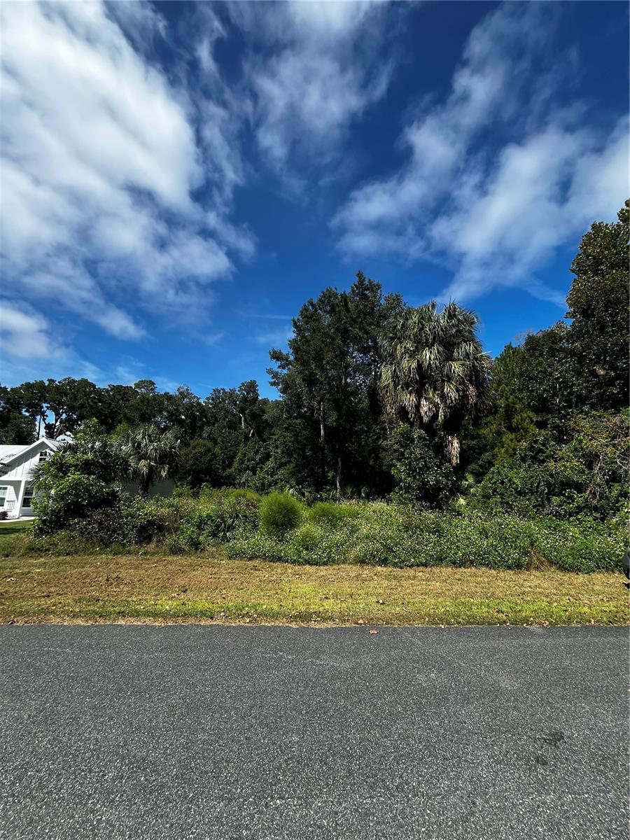 9239 EMILY DRIVE, Fanning Springs, FL 32693