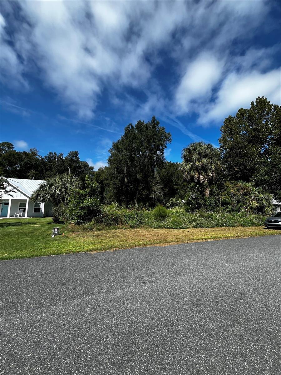 9239 EMILY DRIVE, Fanning Springs, FL 32693