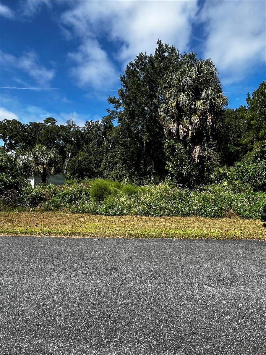 9239 EMILY DRIVE, Fanning Springs, FL 32693