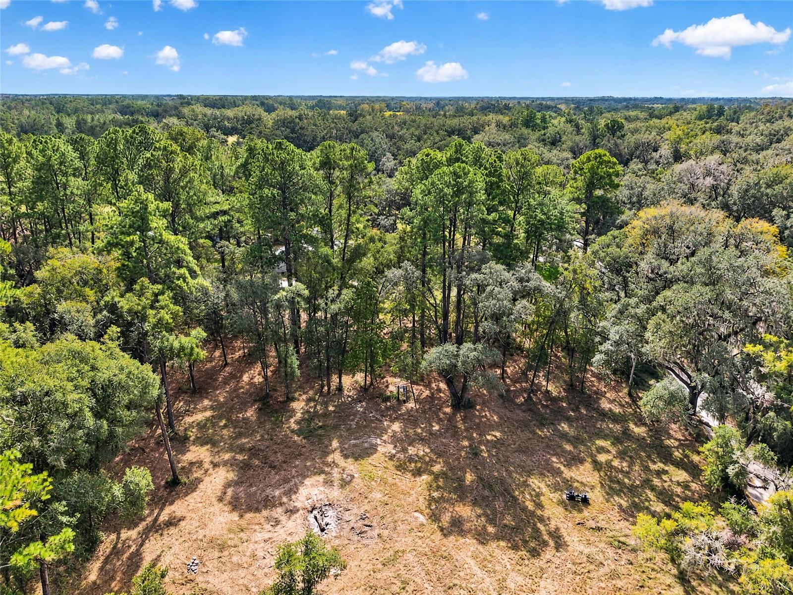 2425 NW 162ND STREET, Newberry, FL 32669