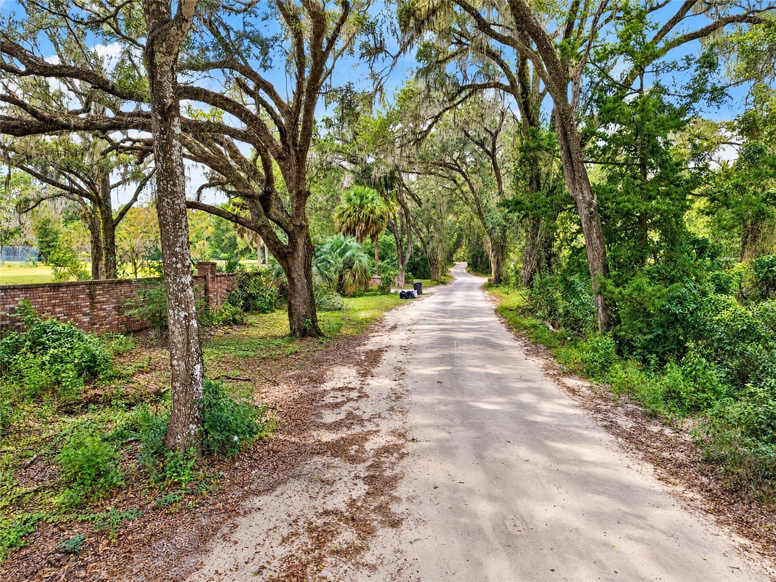2425 NW 162ND STREET, Newberry, FL 32669