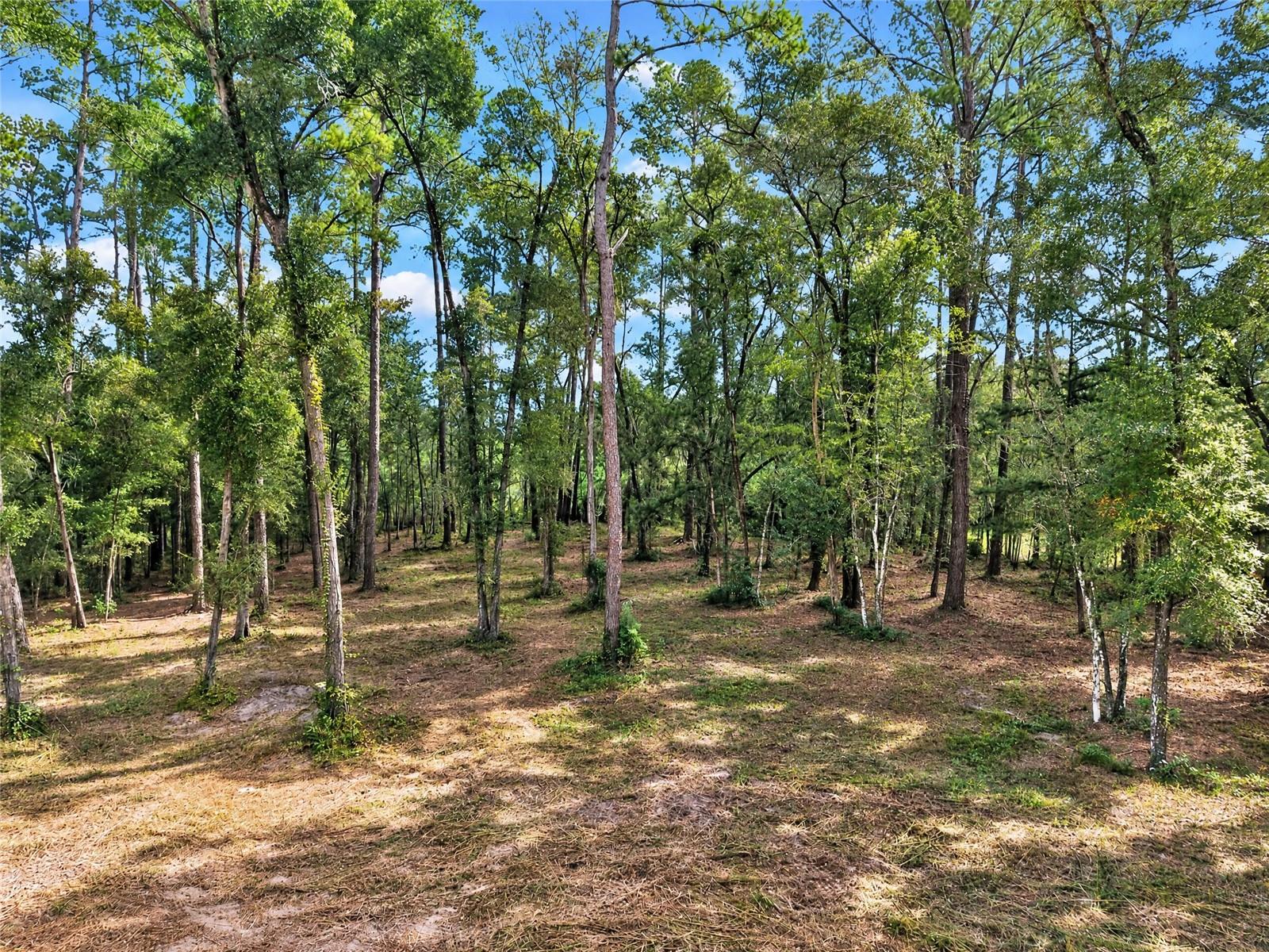 2425 NW 162ND STREET, Newberry, FL 32669