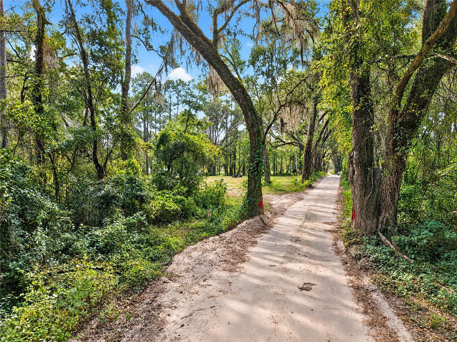 2425 NW 162ND STREET, Newberry, FL 32669